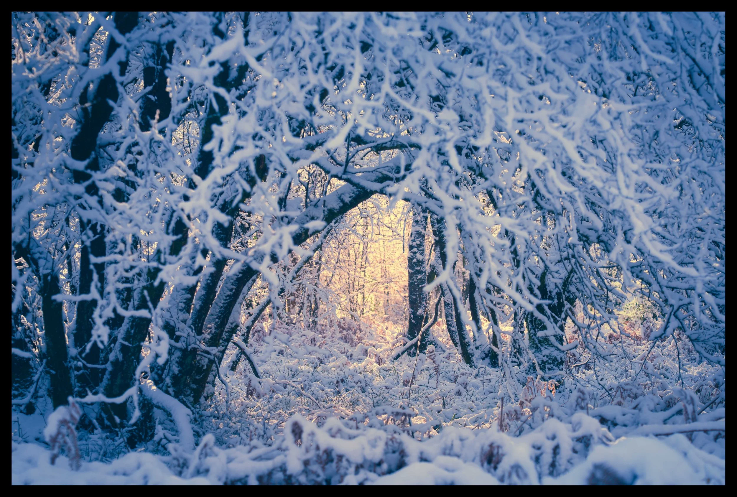 It might have been cold but ``I felt that inner warmth.  A magical moment!