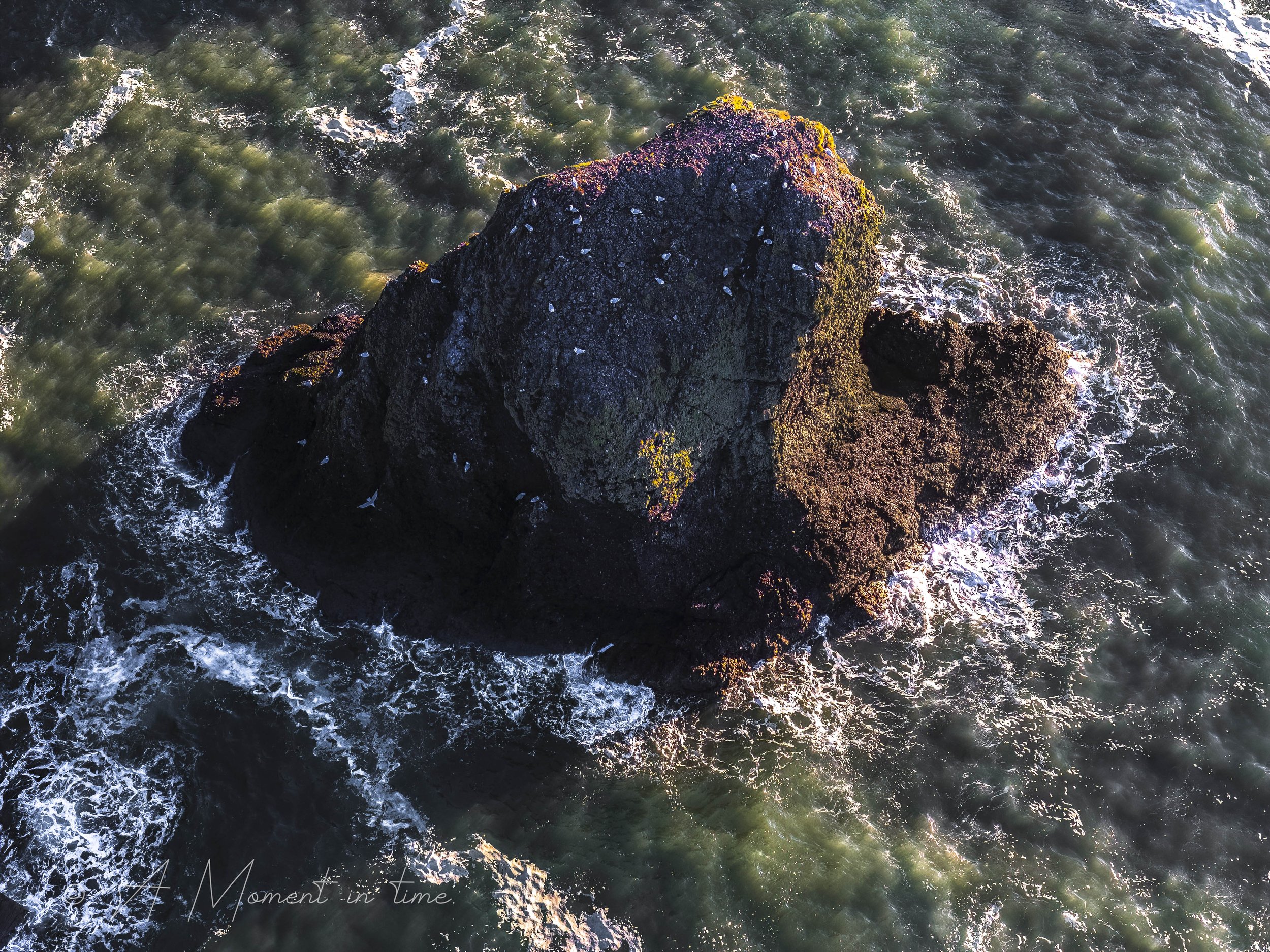 Cliff Rock AMIT 2.jpg