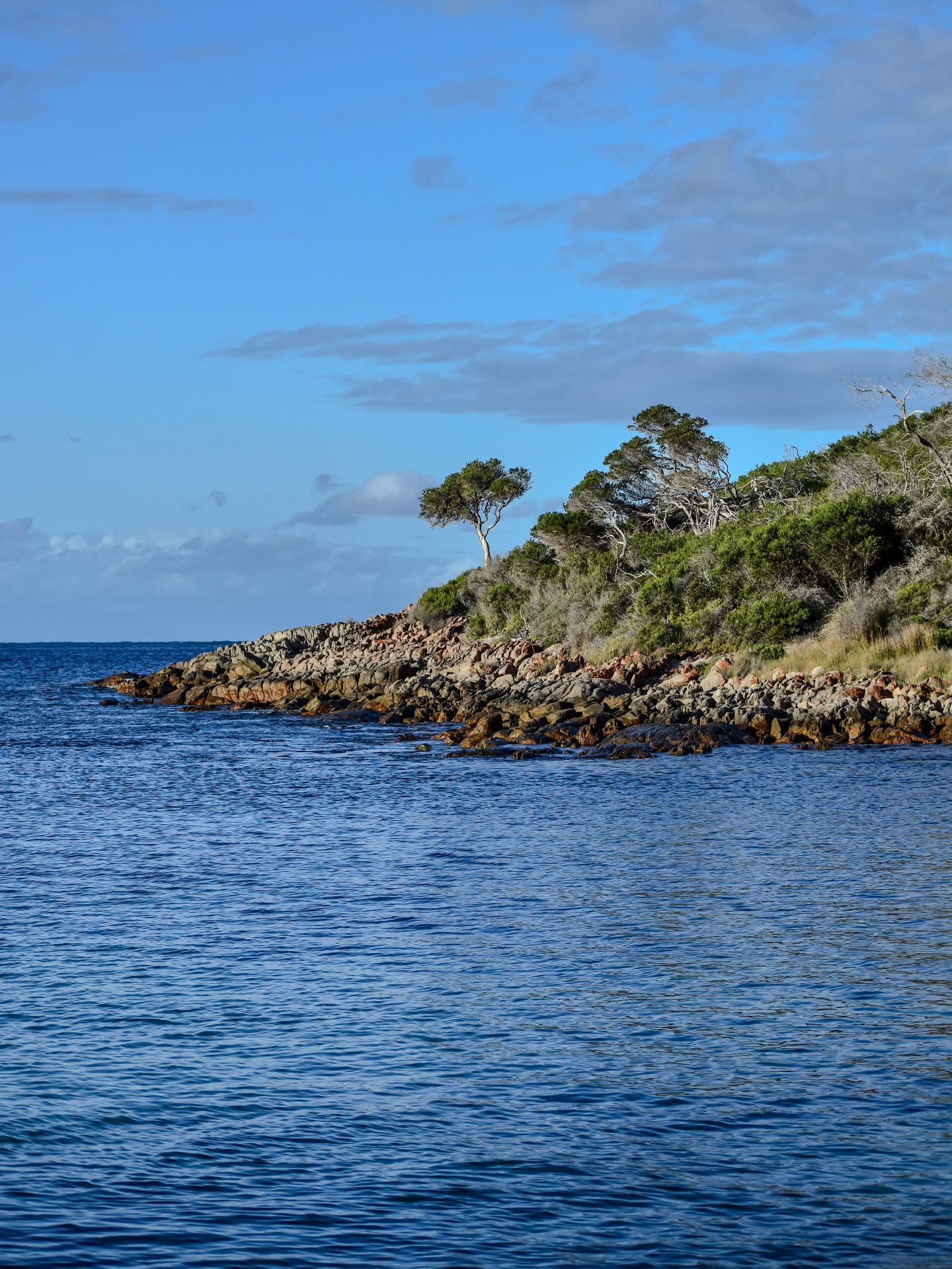 Weathered by salt and stone. 

#lostroads #saltandstone #weatheredcoast #coastallandscape #rawcoast
westernaustralia rawaustralia explorewa
rockyshore quietlandscapes loneplaces
naturalwear seaandsky timelessnature coastlines