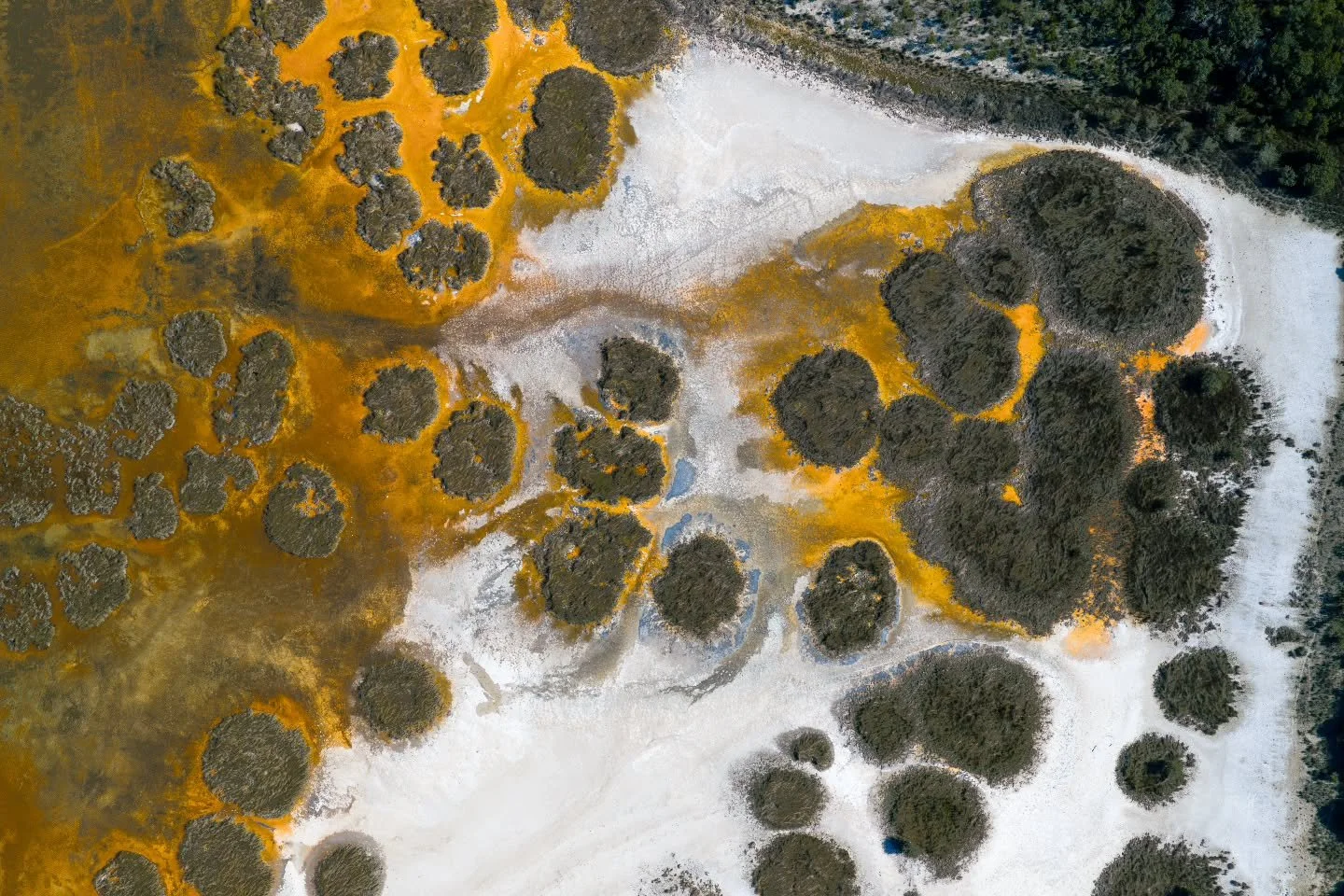 Salt is all that survives the sun. 

#lostroads
#westernaustralia
#explorewa
#rawaustralia
#aussielandscapes