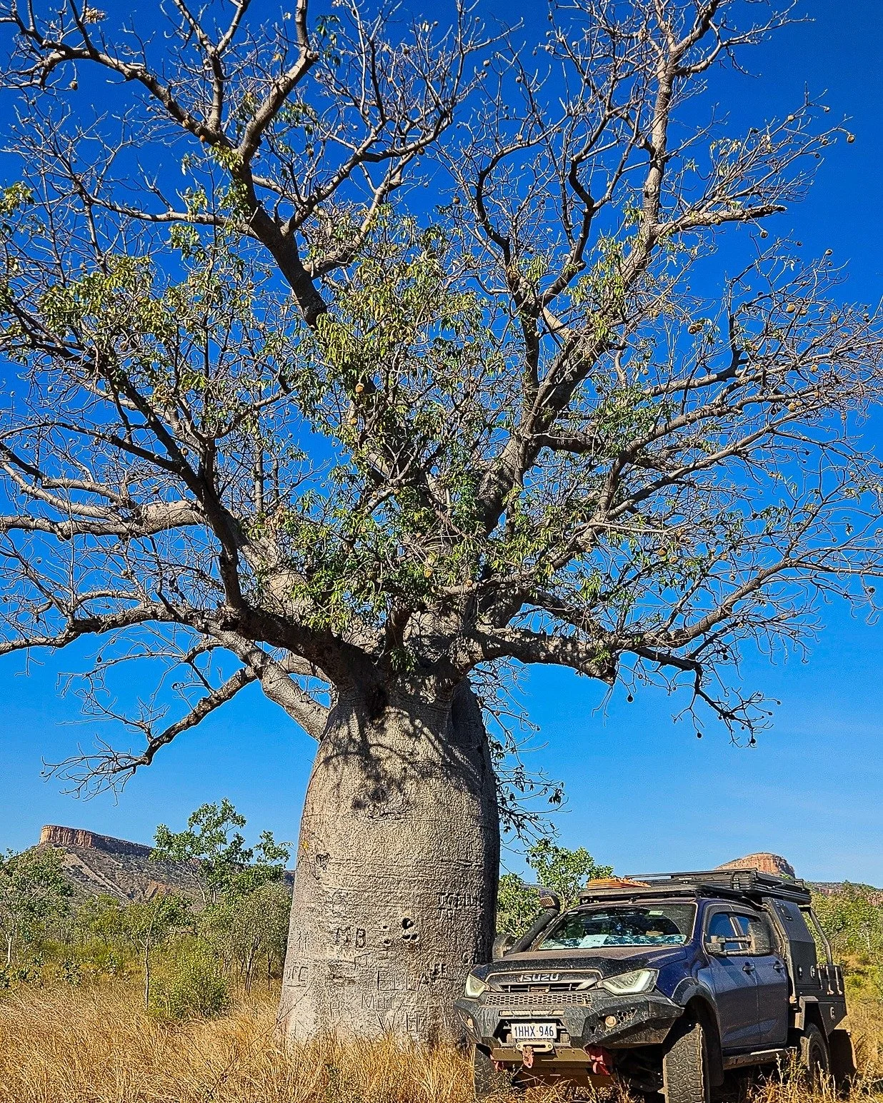 Not just chasing photos. chasing memories.

#landscapephotography
#lostroads
#westernaustralia
#australianlandscape
#landscapephotography