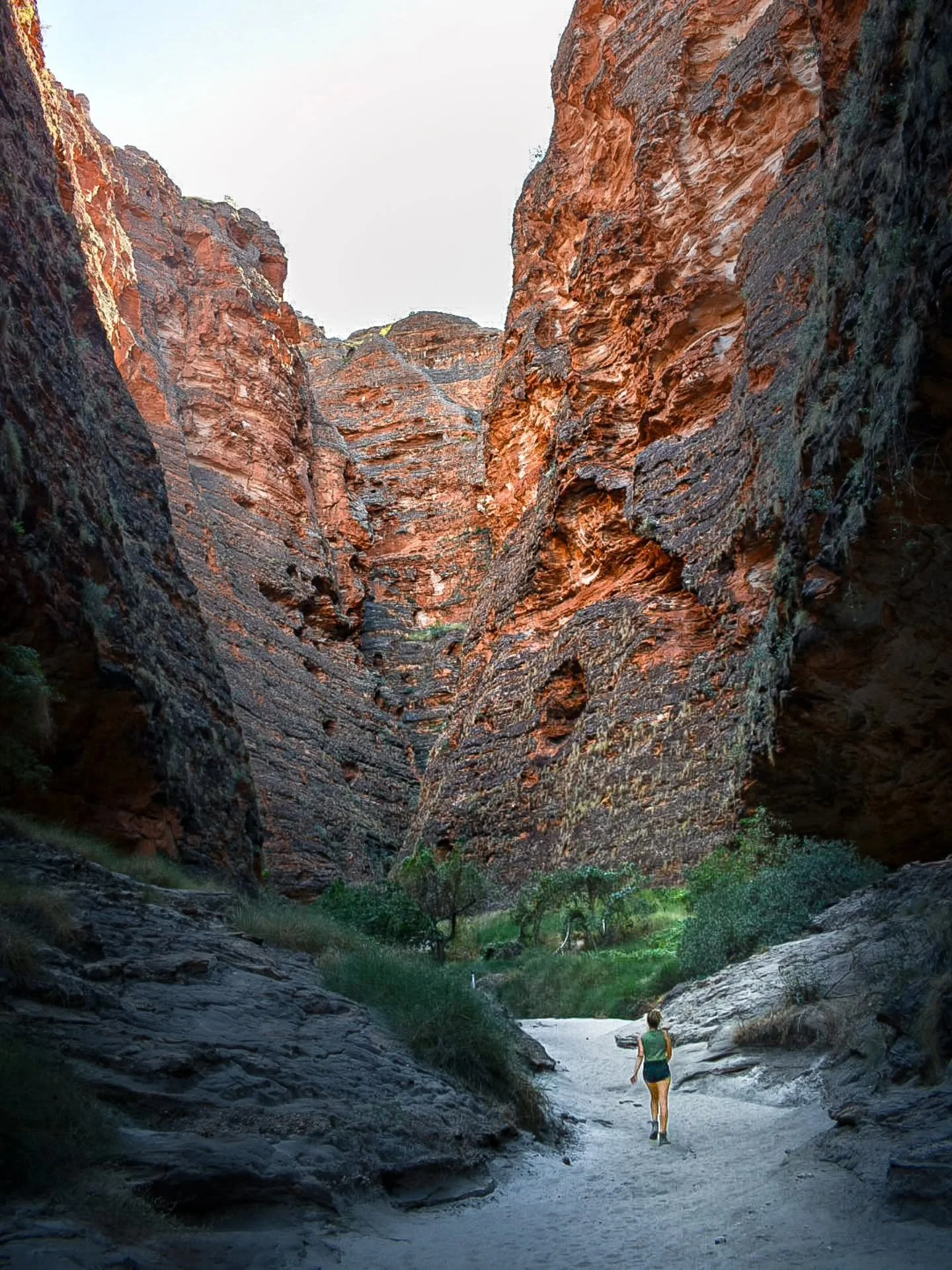 Small footsteps through ancient stone.

#bunglebungles
#purnululunationalpark
#kimberleywa
#explorewa
#lostroads