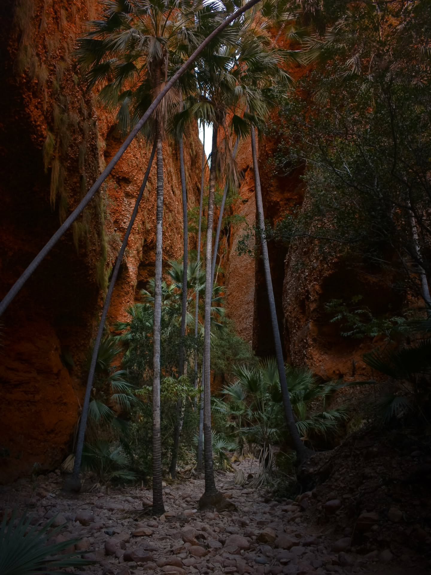 A place that feels older than everything else.

#bunglebungles 
#purnululunationalpark 
#TheKimberley 
#Australia
#lostroads