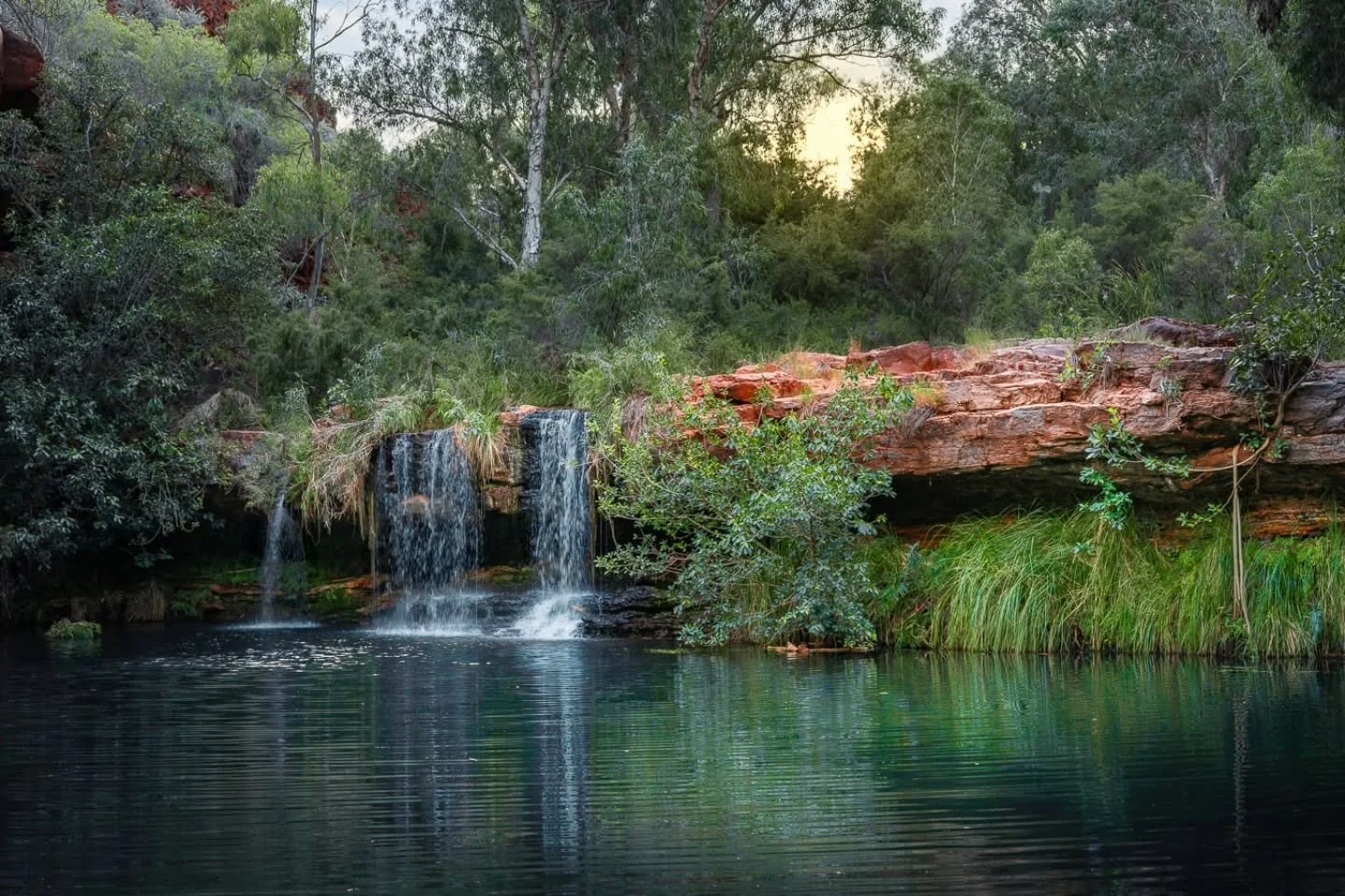 Fern Pool feels a long way from the rest of the pilbara.

#lostroads 
#karijini
#fernpool 
#pilbara
#WesternAustralia