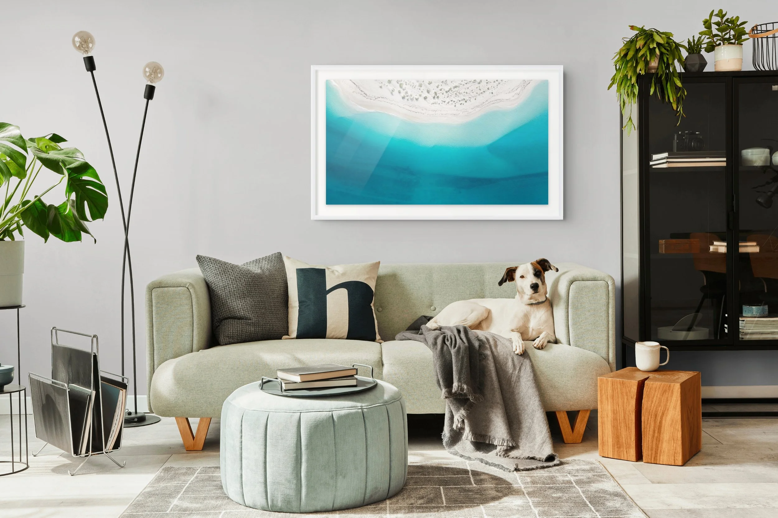 3413767_coastal_drift_1.jpg