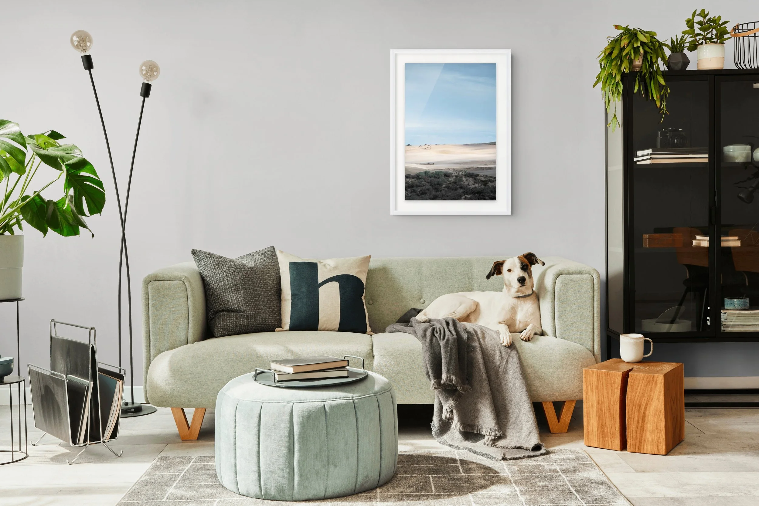 3414169_silent_dunes_1.jpg