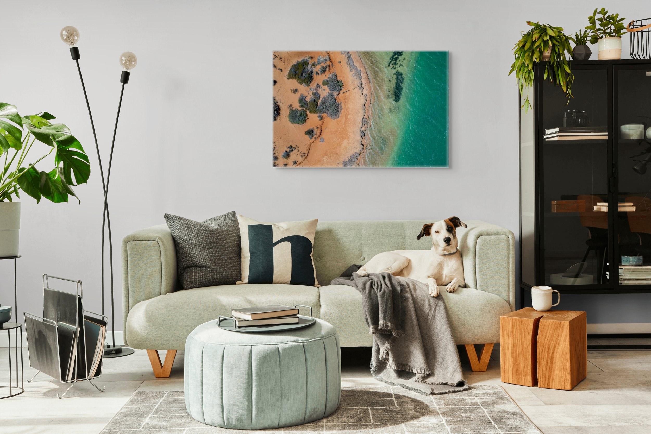 turquoise_divide_canvas.jpg