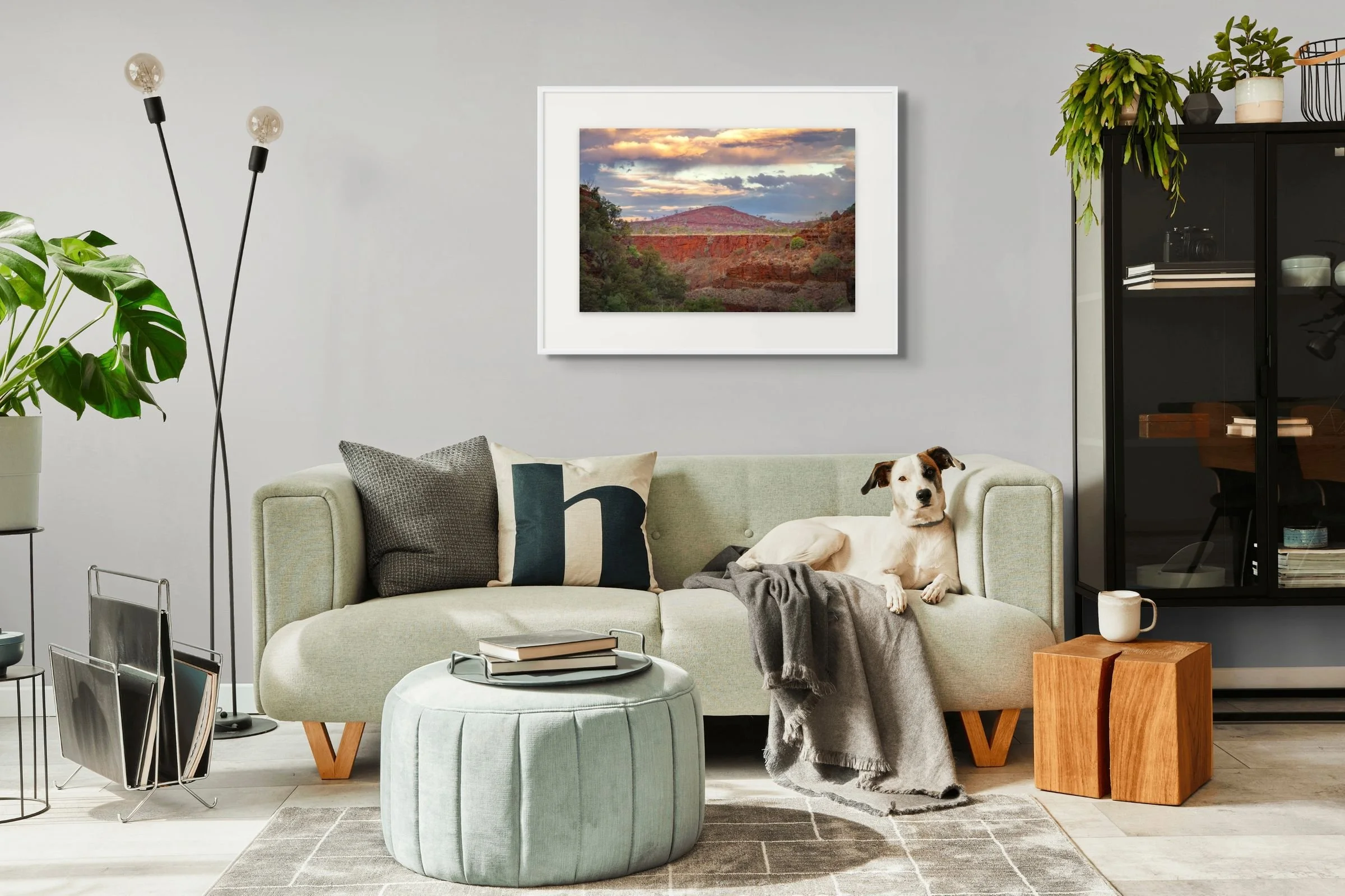 red dominion-large.jpg