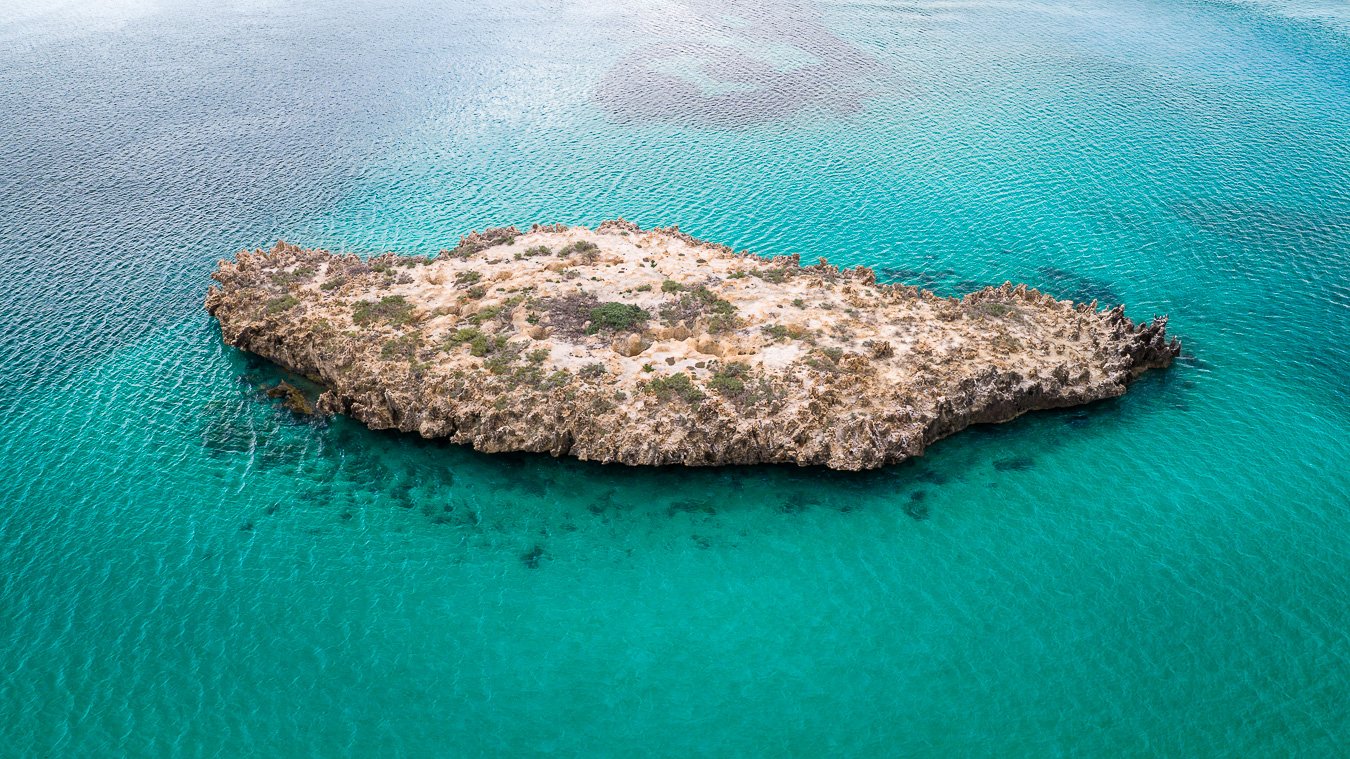 Sea Refuge