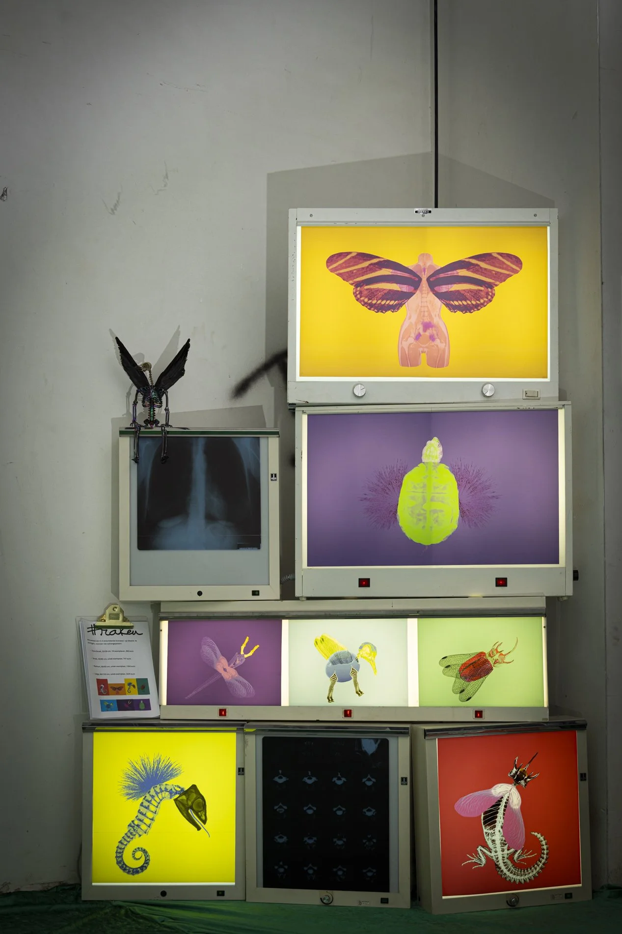 The Femmes_Expo-29.jpg