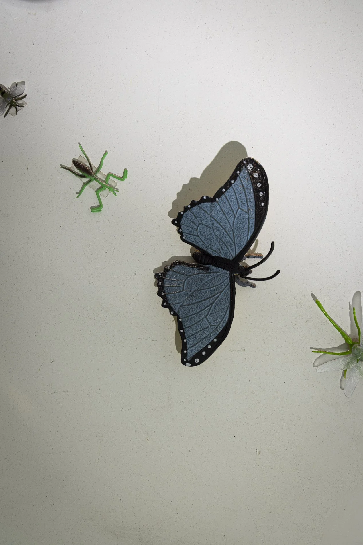 The Femmes_Expo-30.jpg