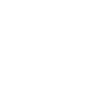 Icon of a light bulb with rays surrounding it, representing an idea or innovation.