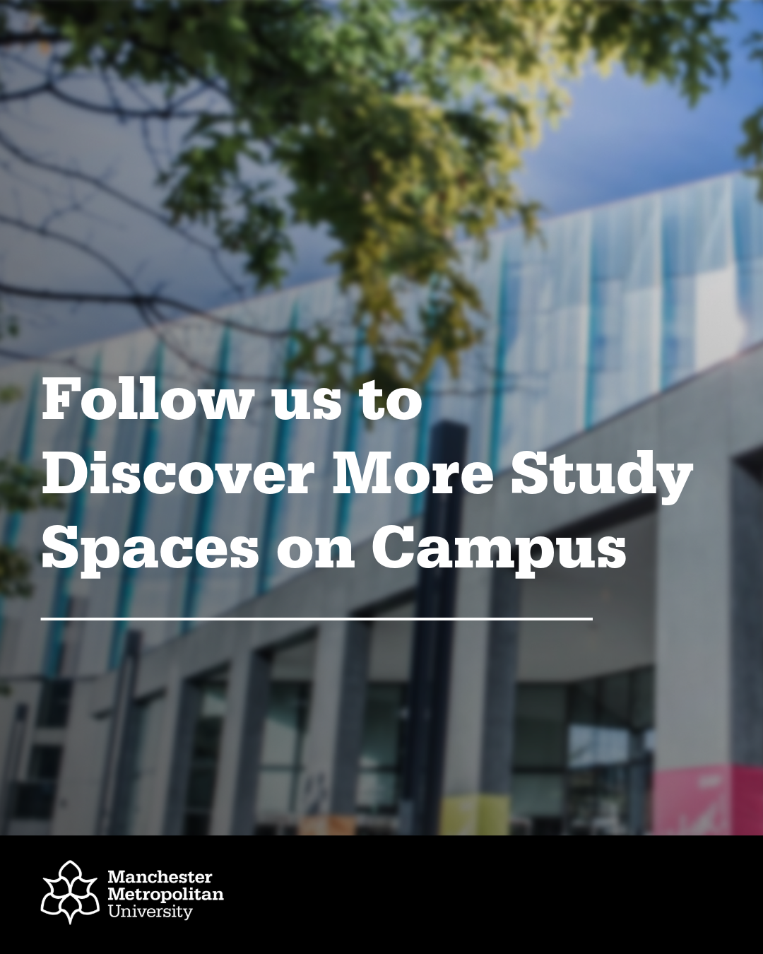 Back cover style 2.png