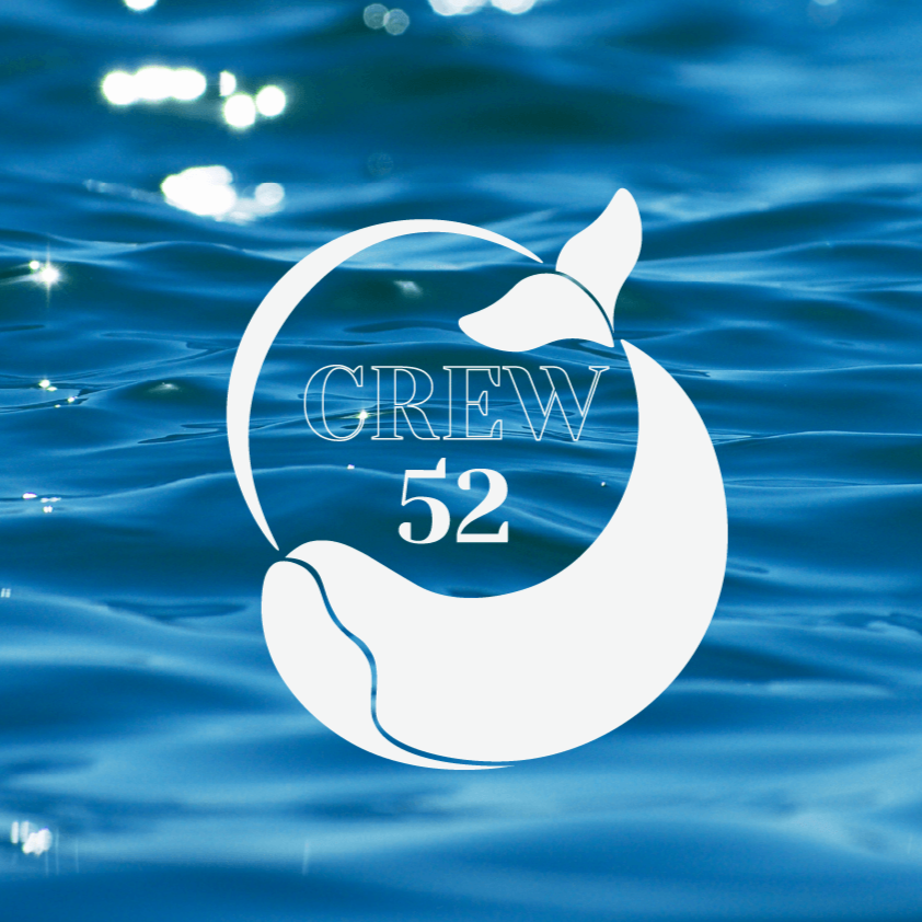 Manchester Metropolitan University x MIBT Content Strategy