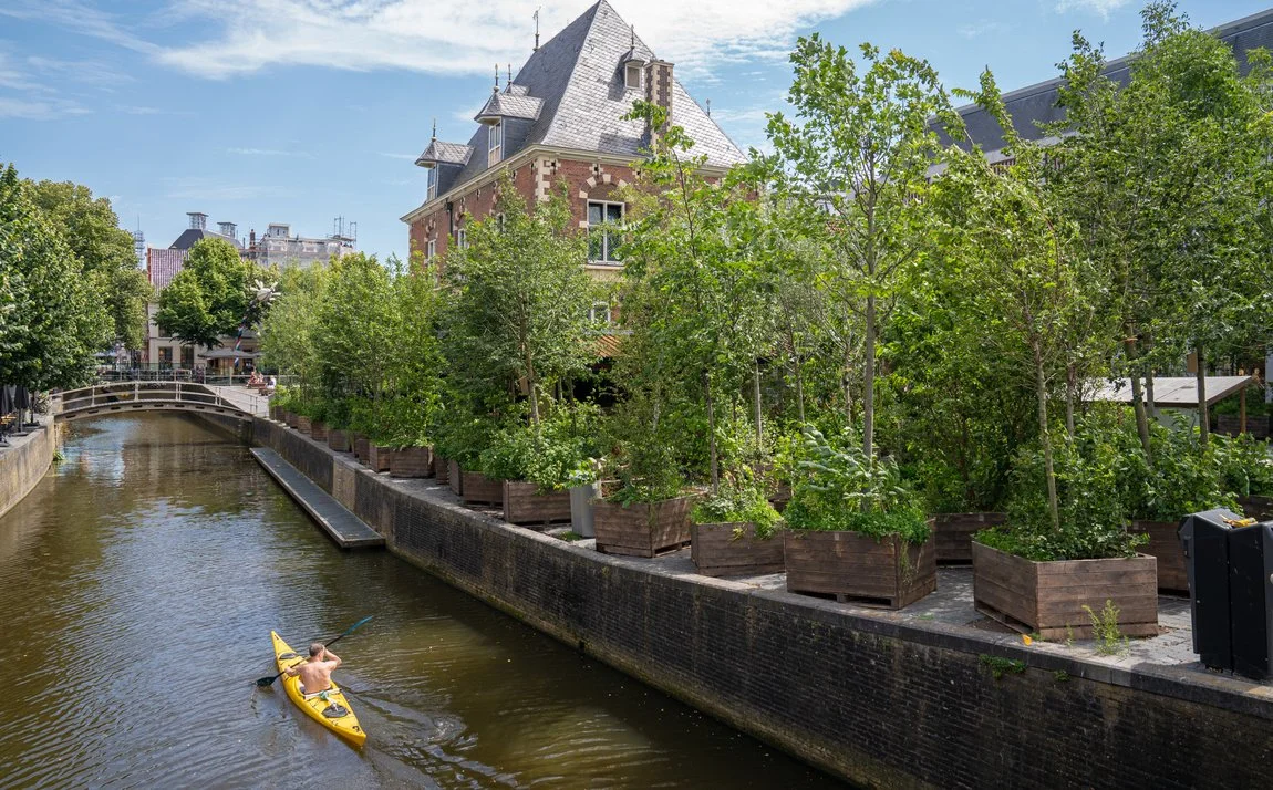 Leeuwarden plant meer dan duizend bomen in 2022
