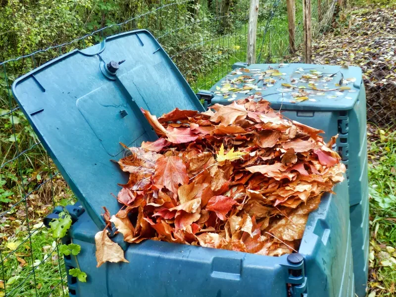 Gratis regenton en compostbak voor inwoners van Súdwest-Fryslân?
