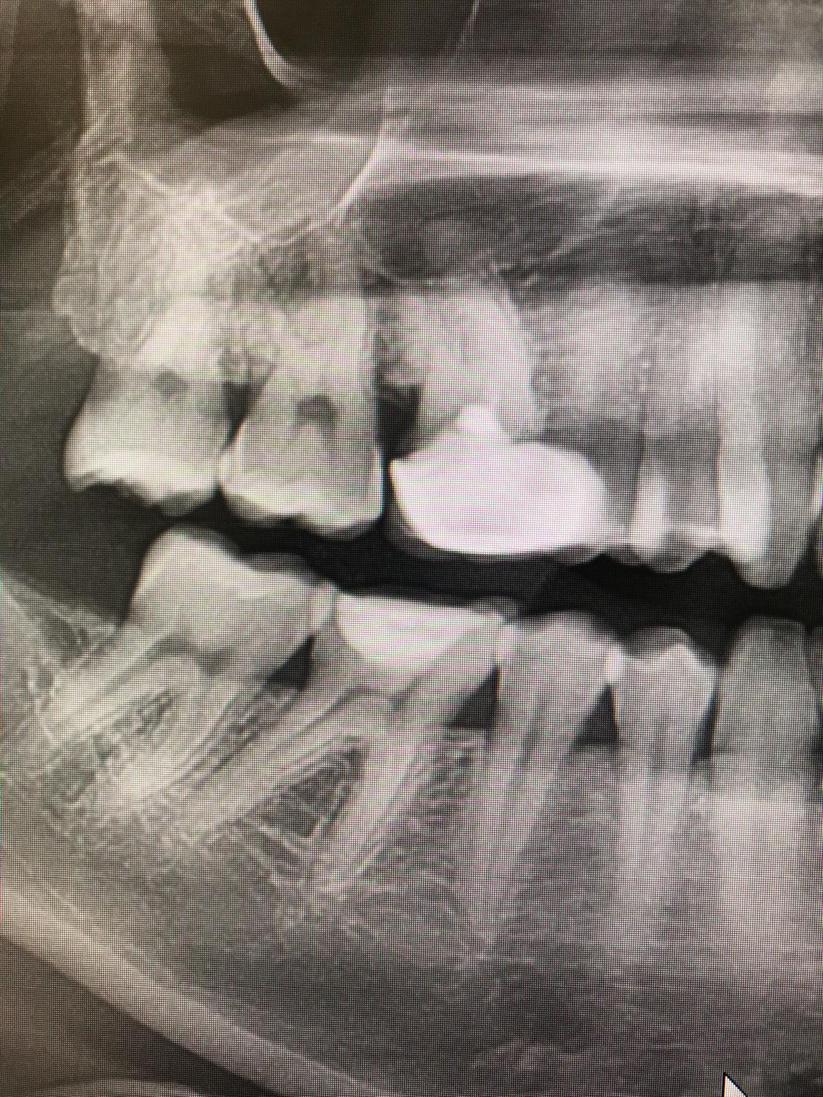 WhatsApp Image 2025-11-26 at 18.13.39.jpeg