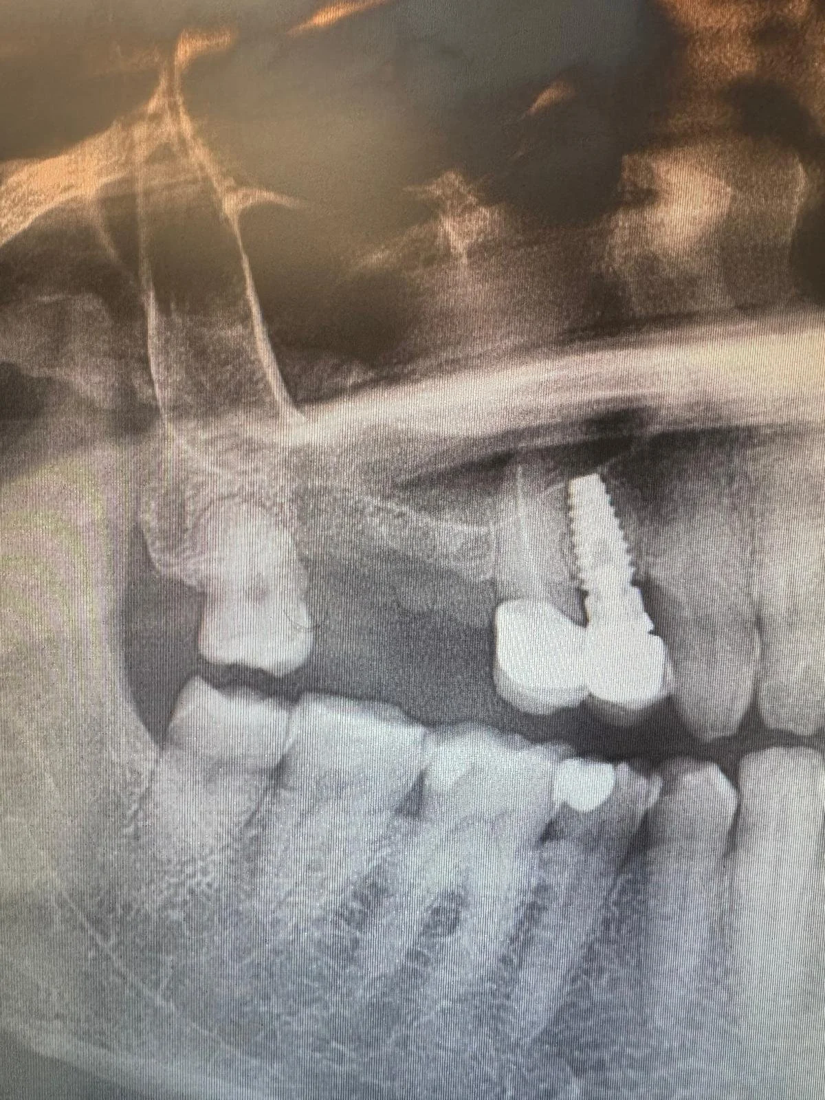 WhatsApp Image 2026-05-12 at 10.19.02.jpeg