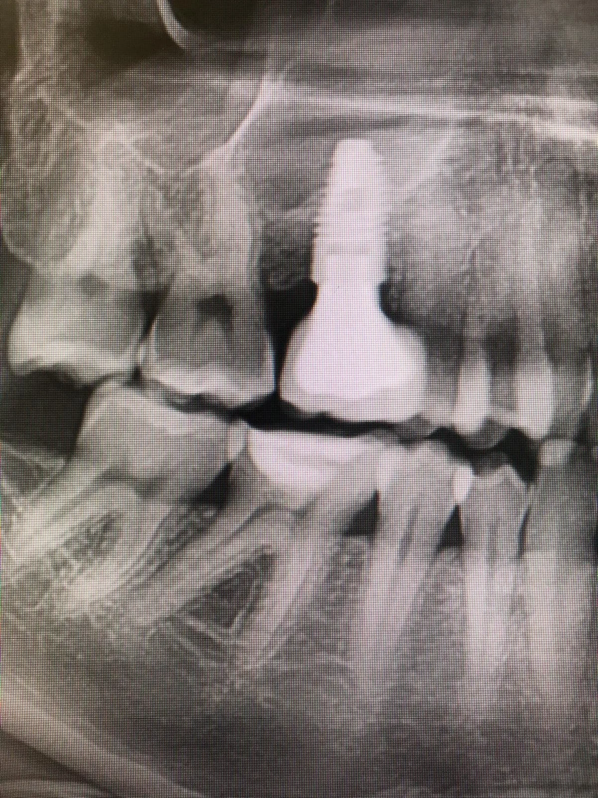 WhatsApp Image 2025-11-26 at 18.14.12.jpeg