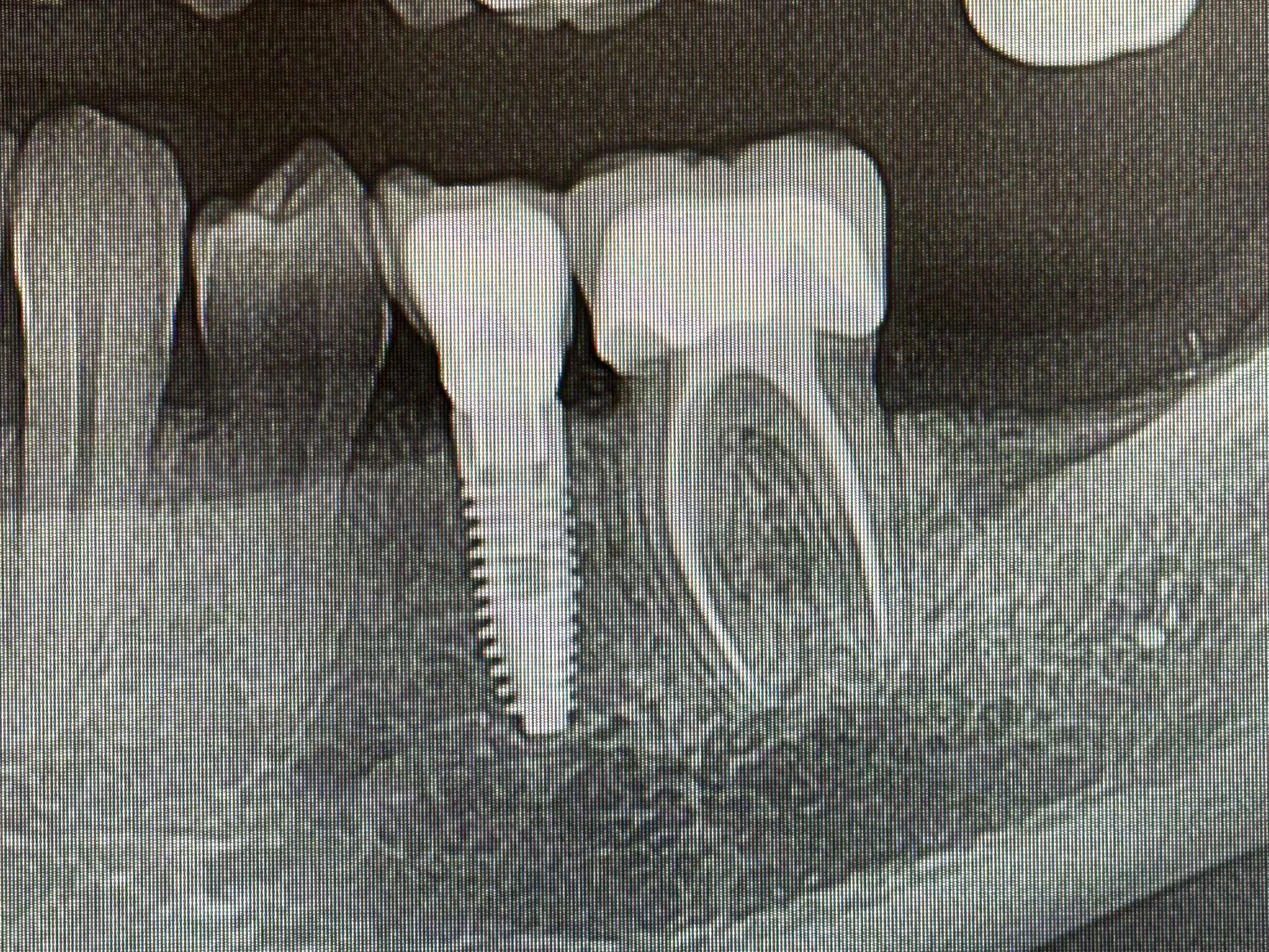 WhatsApp Image 2025-11-17 at 20.12.40.jpeg