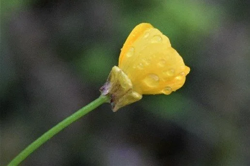 The Power of Apology and Forgiveness