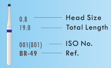BUR INFO.png