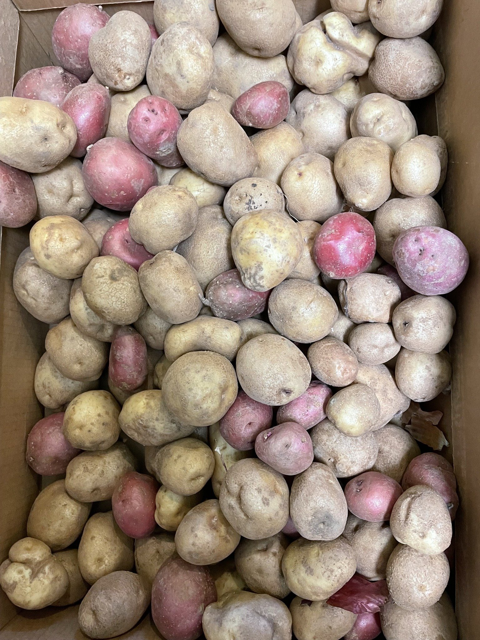 A box filled with a large quantity of irregularly shaped small potatoes, some with pinkish skin and some with tan skin, covered in a light layer of dirt.
