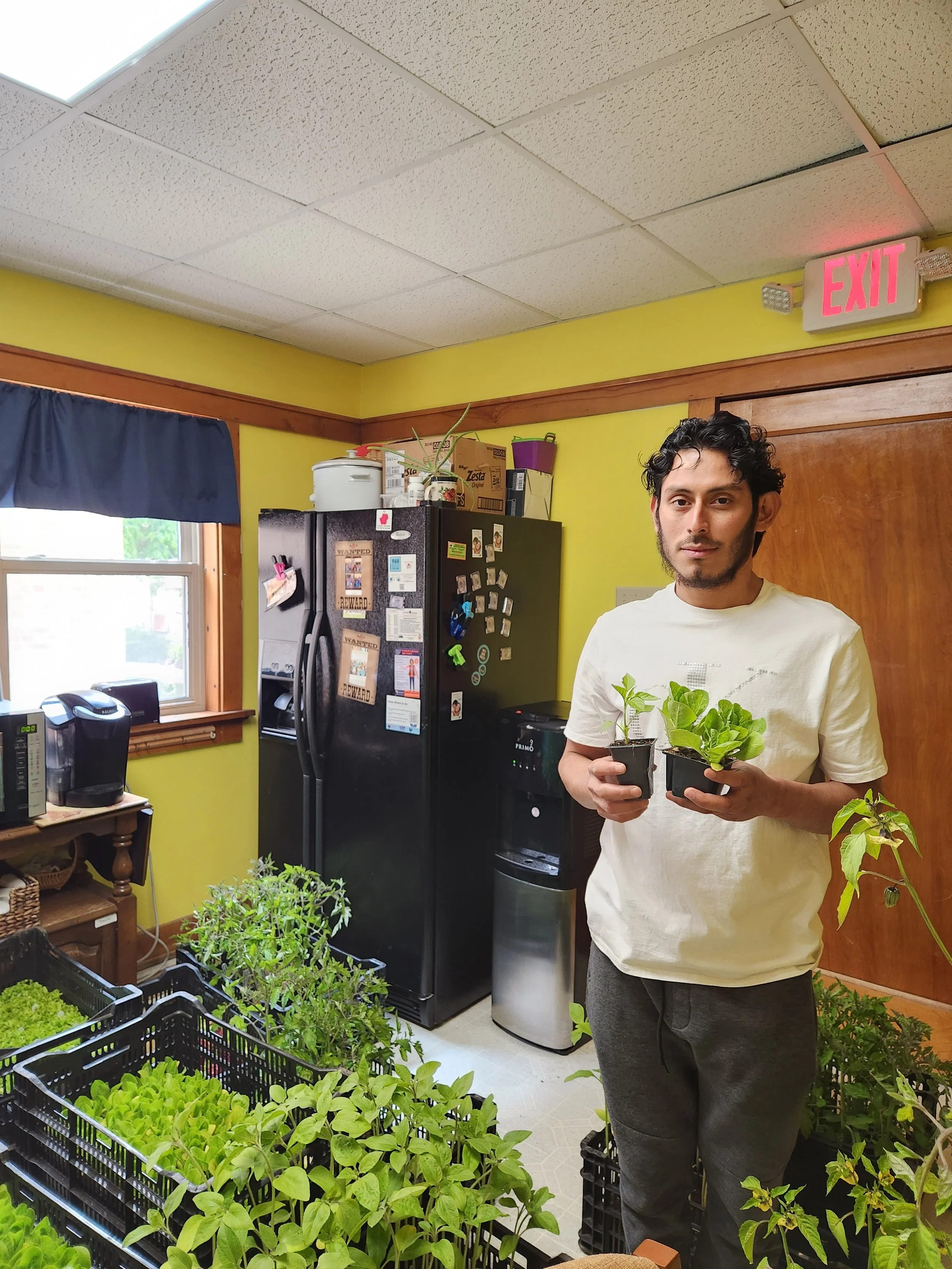 A man holding potted green plants in a kitchen or greenhouse, surrounded by more plants in black containers, with a black refrigerator, water cooler, and window in the background.