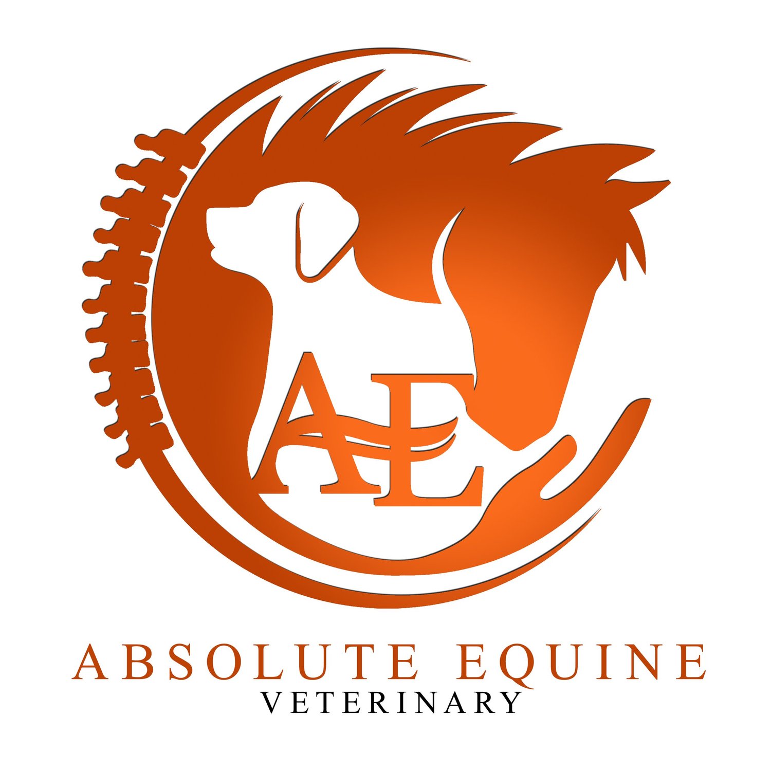 Absolute Equine Veterinary