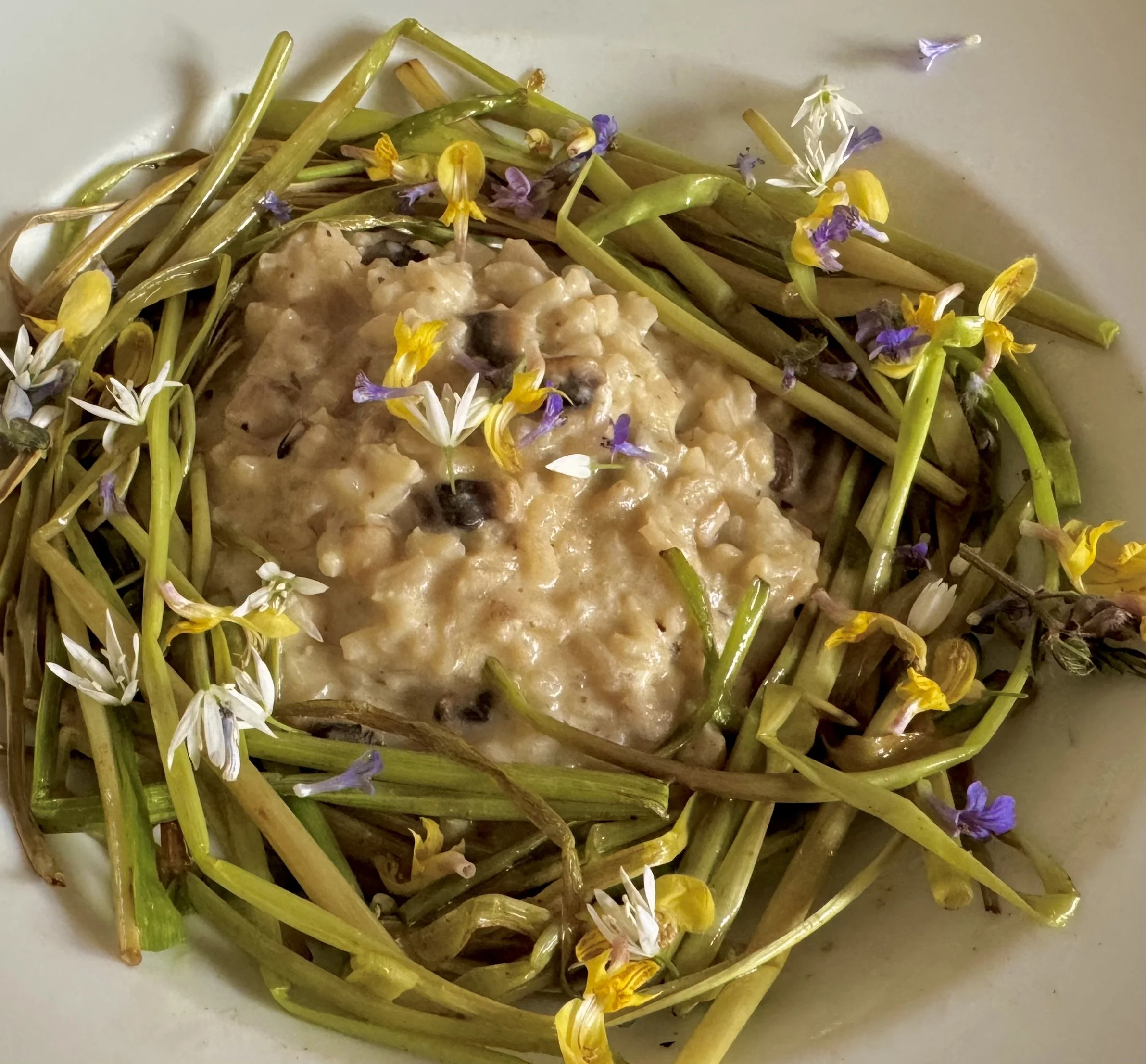 Braised Dandelion Stems à la Cucina Selvatica