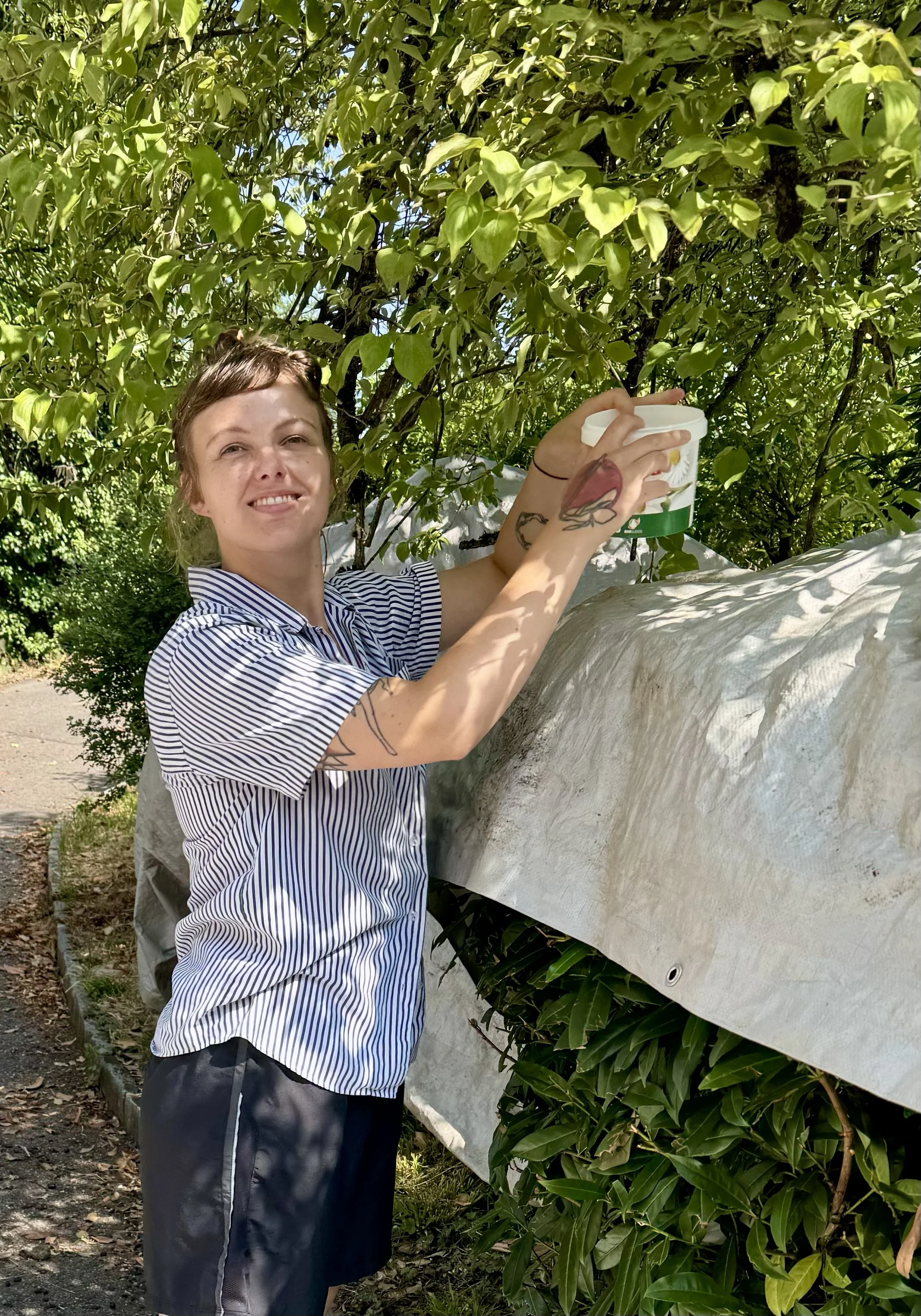 Jaime from Florida: her signature activity at Villa Belvédère? Picking cornelian cherries! A small fruit, a big tree, and an impressive amount of patience, perseverance and meditative focus. She picked more than anyone before her, and her contributio