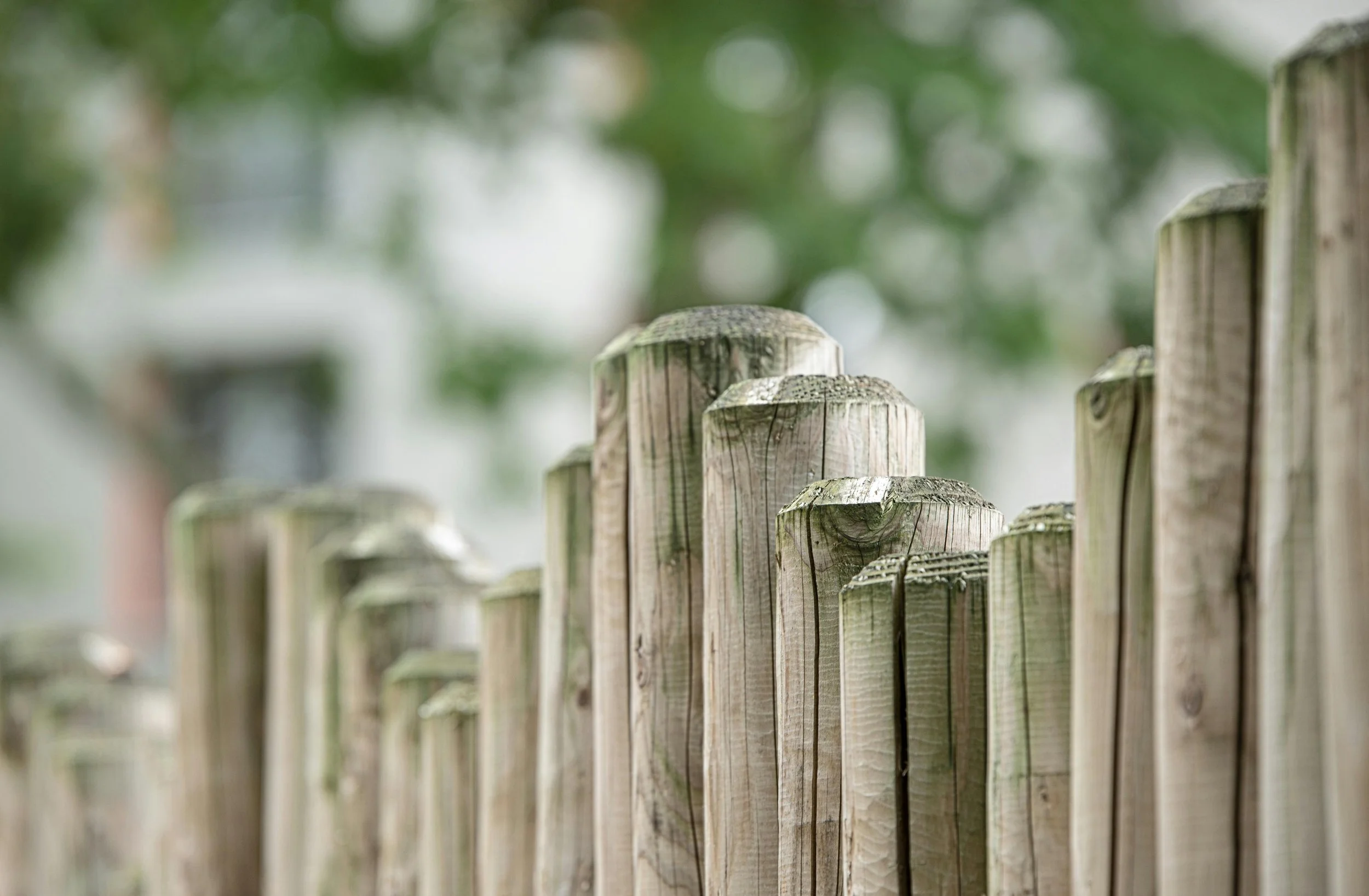Close-up of wooden fence posts with a blurred green background.