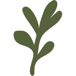 Illustration of a green plant leaf