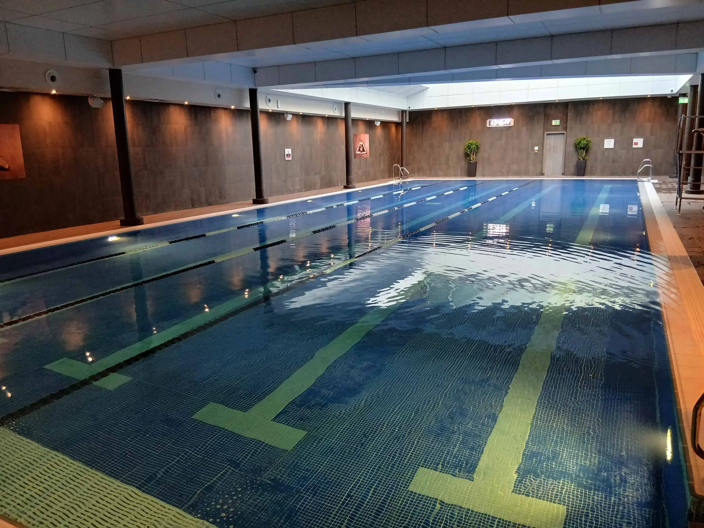 Indoor swimming pool with lanes, surrounded by wooden walls and ceiling with natural lighting from skylight, decorated with potted plants