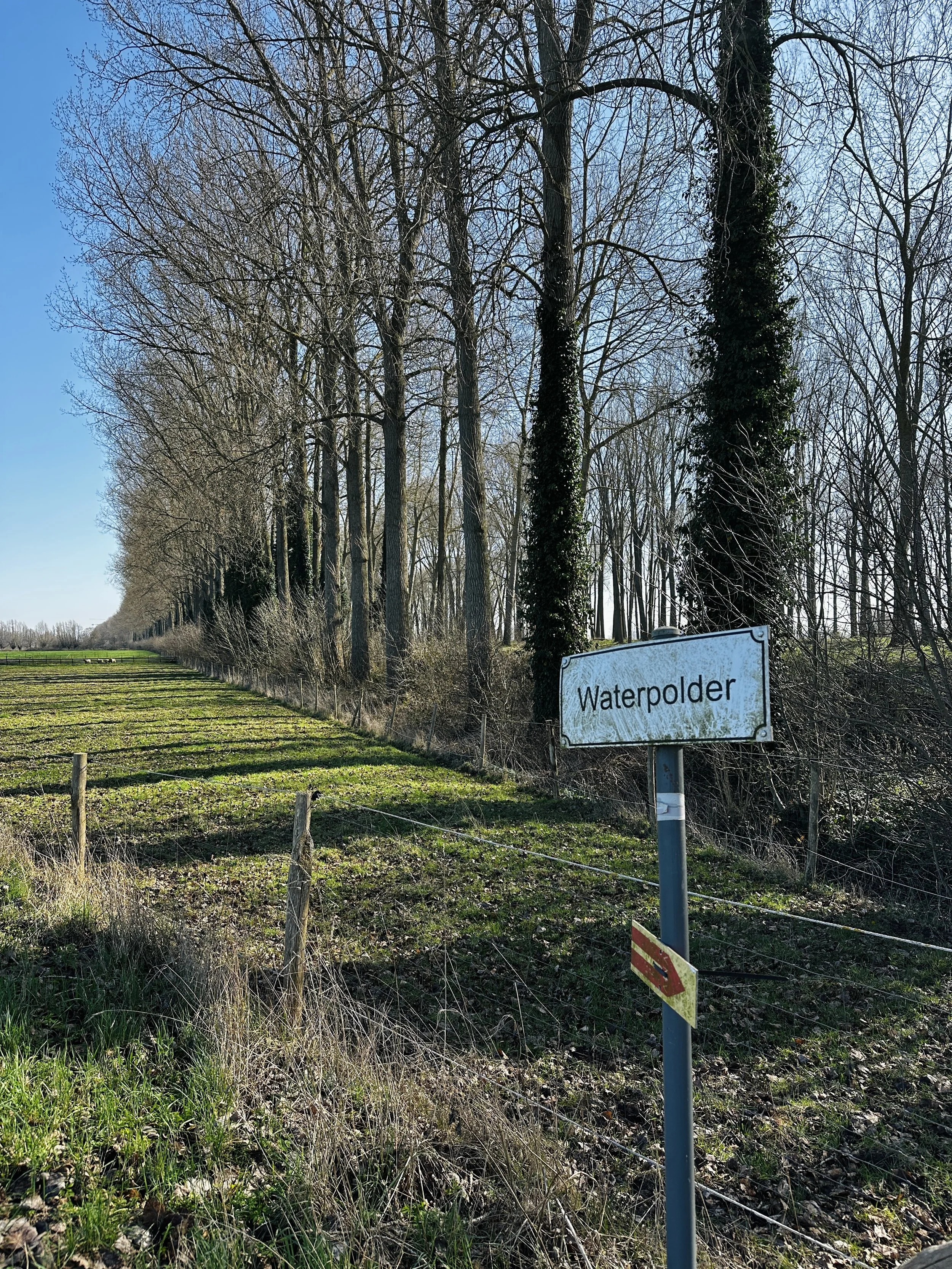 Notaris Vandersteen - Akkerland Waterpolder te koop 04.jpg