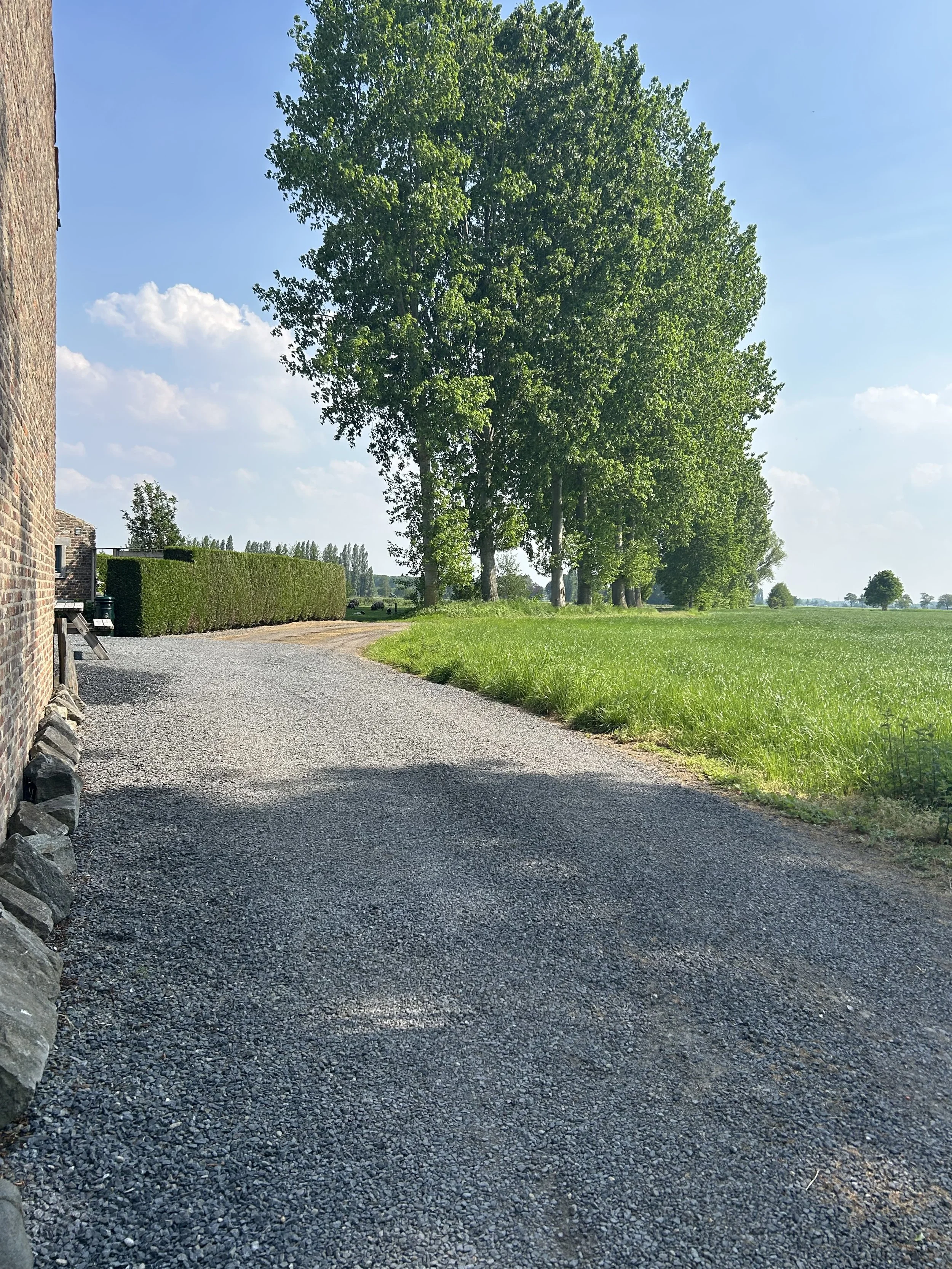Bassevelde uitzicht.jpeg