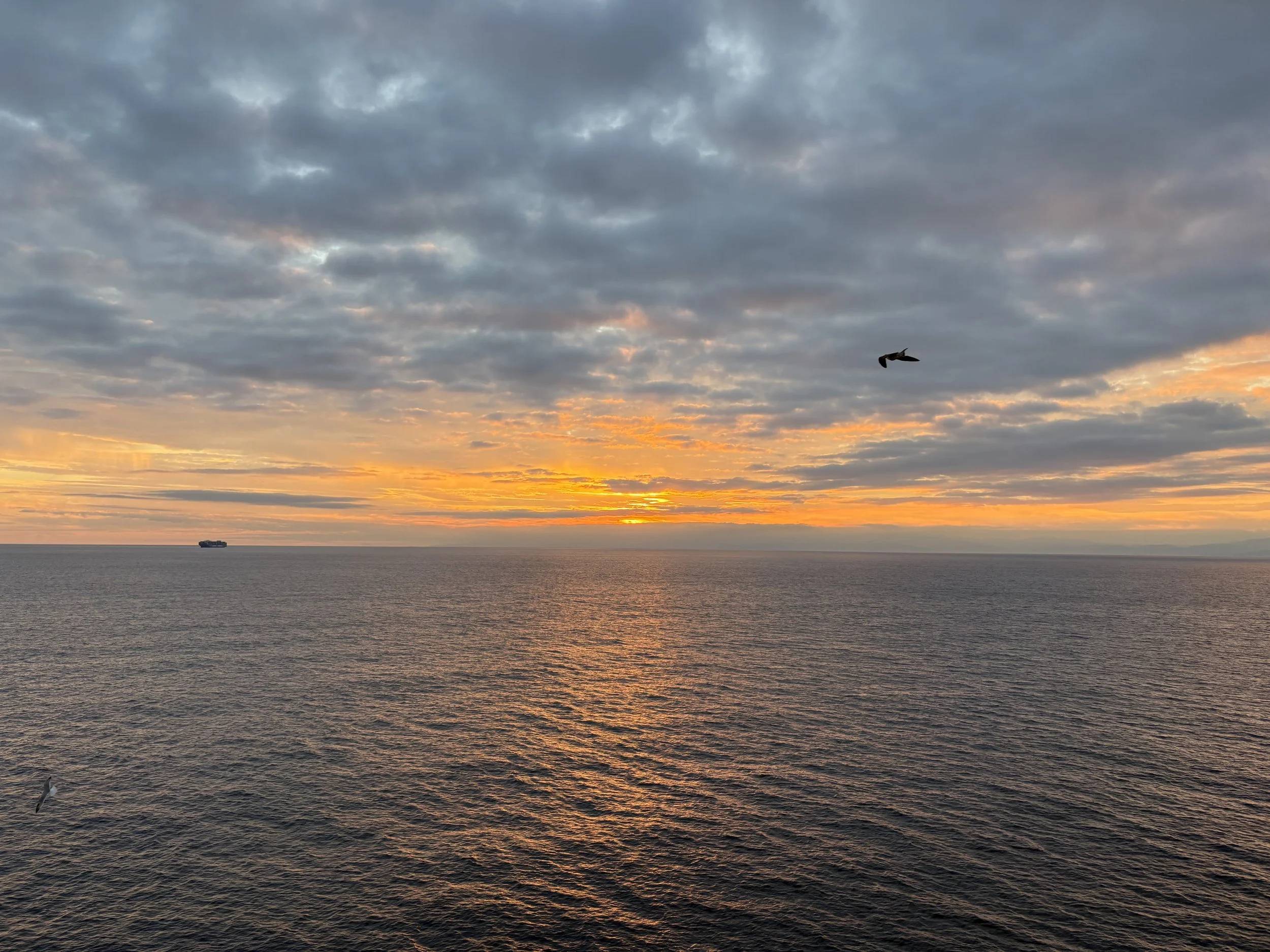 IMG_5156.JPG