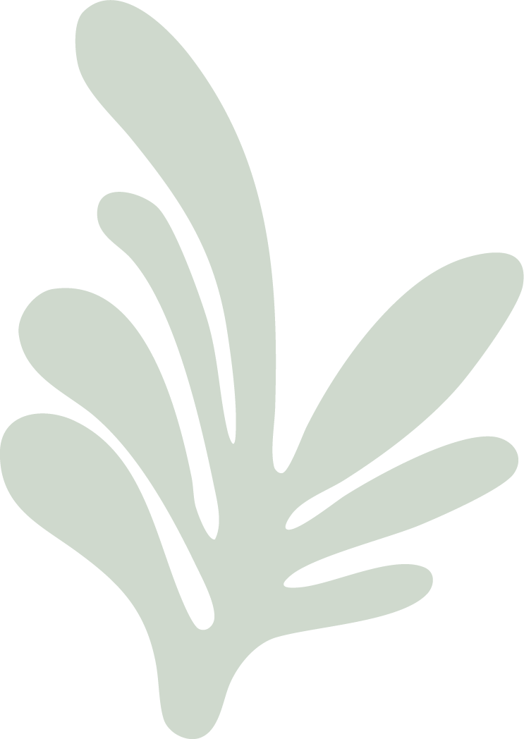 Minimalist illustration of a gray leaf or plant with elongated, rounded leaves on a black background.