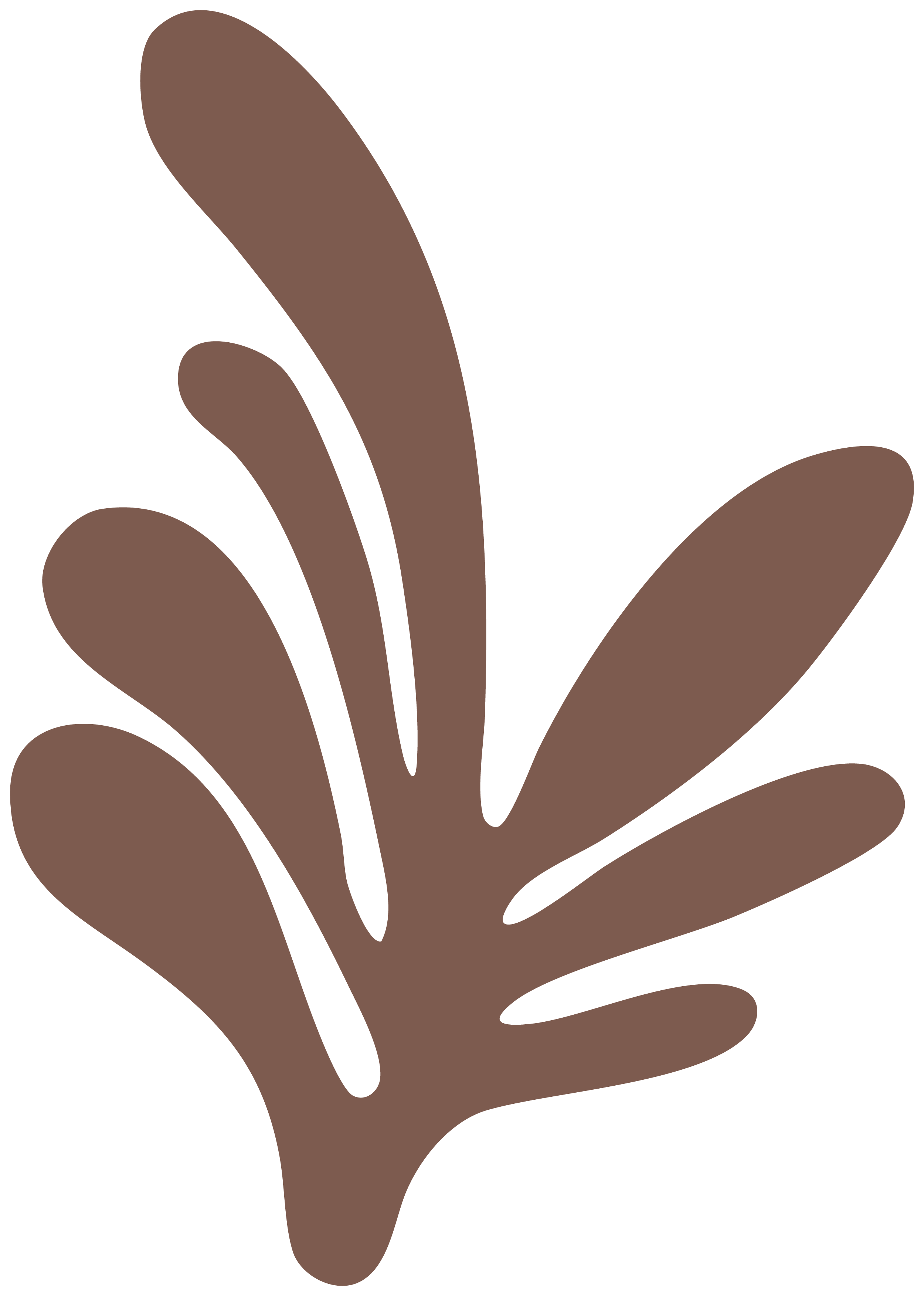 A simple graphic representation of a brown seaweed or aquatic plant with elongated, rounded fronds.