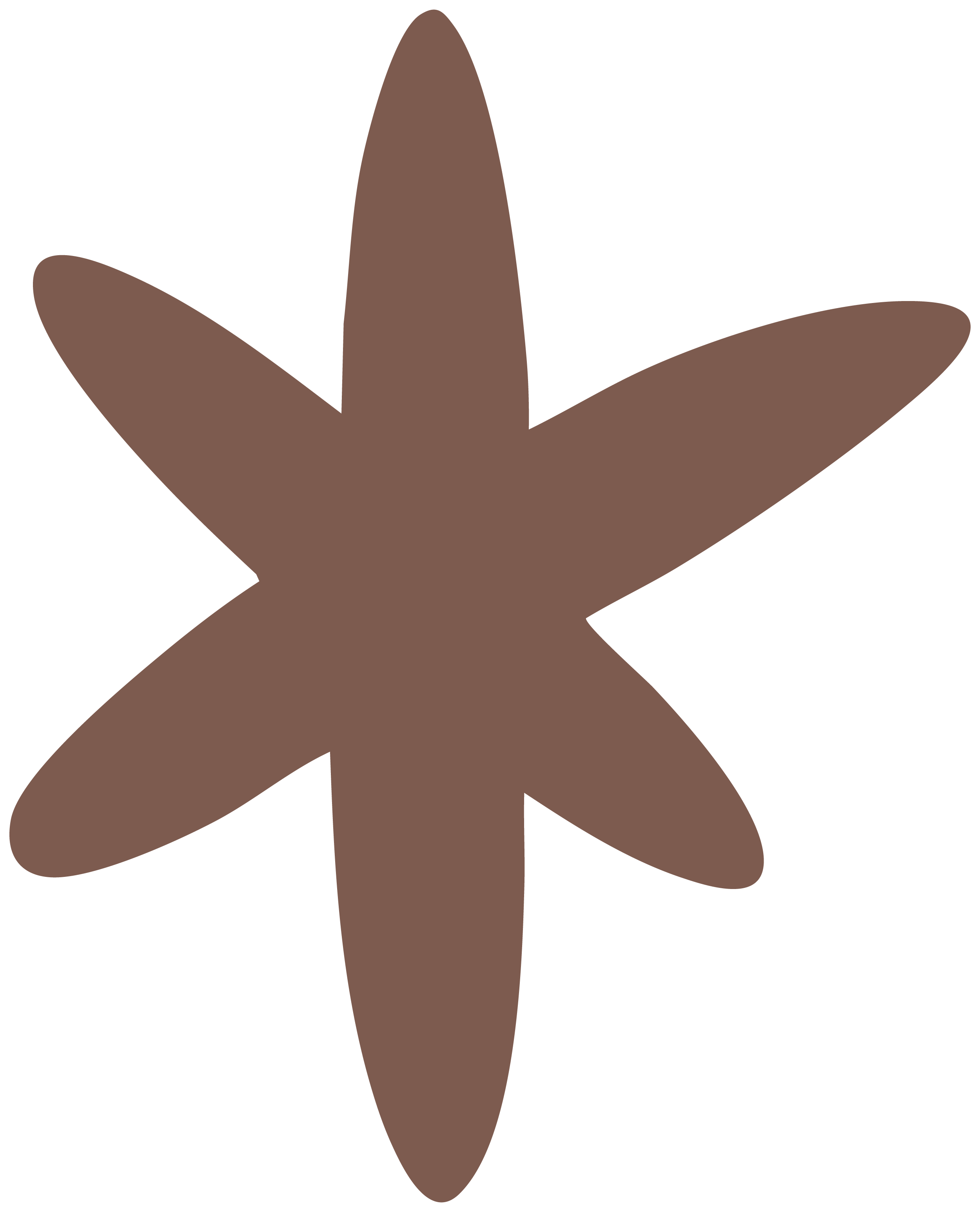A brown starfish with five arms, set against a black background.