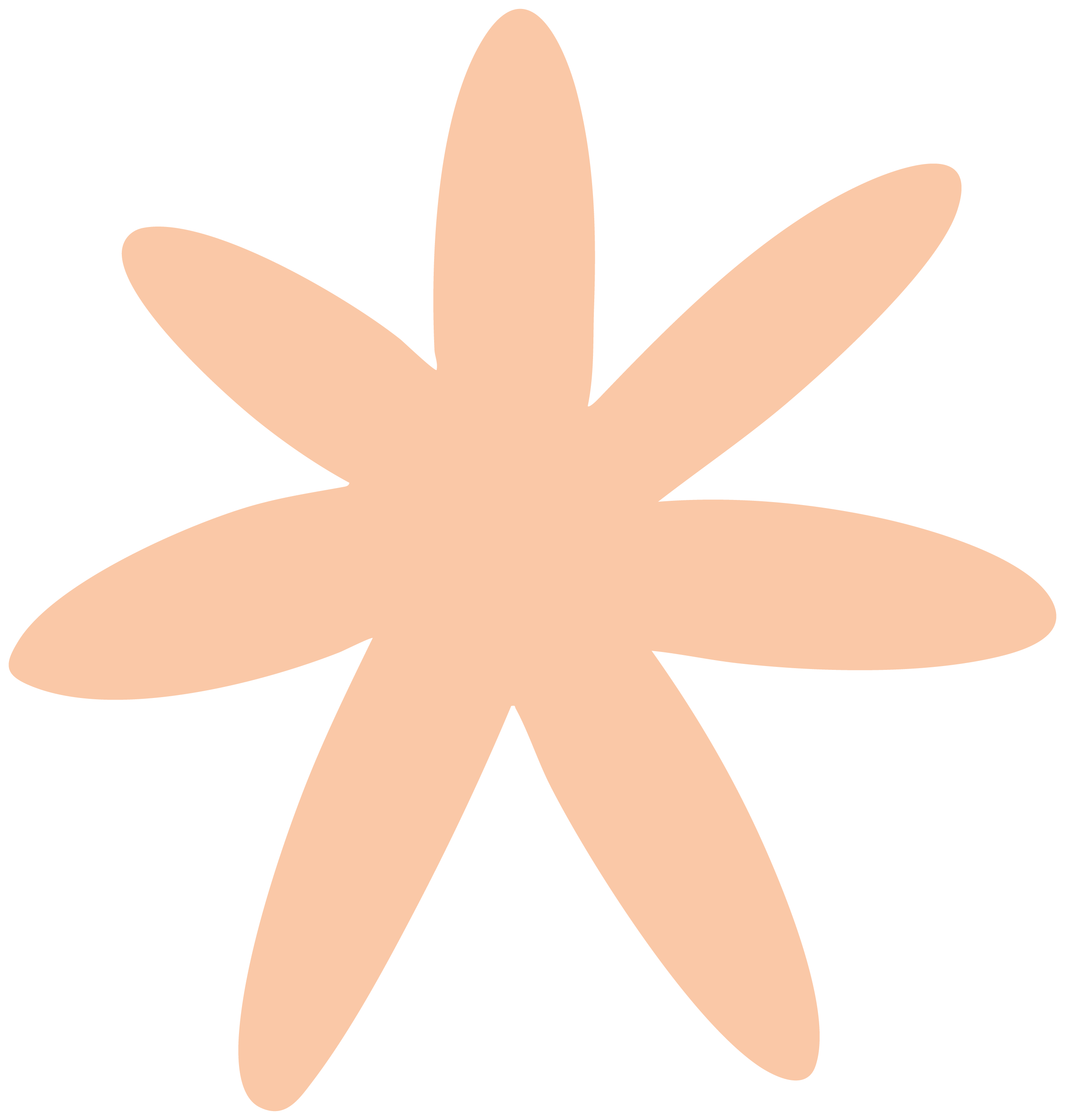 Simplified graphic of a beige starfish with five arms on a black background.