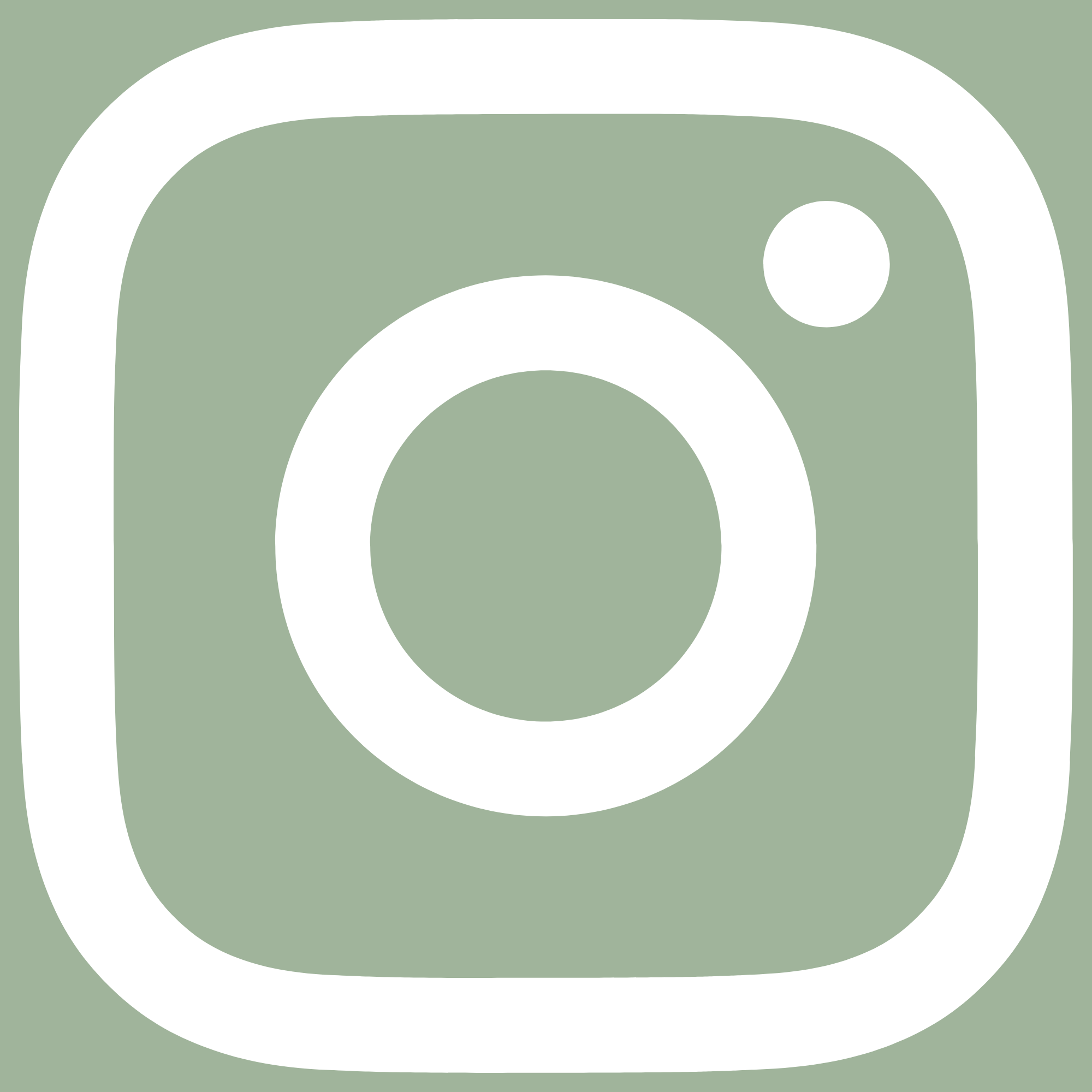 white simple Instagram icon on pale green background