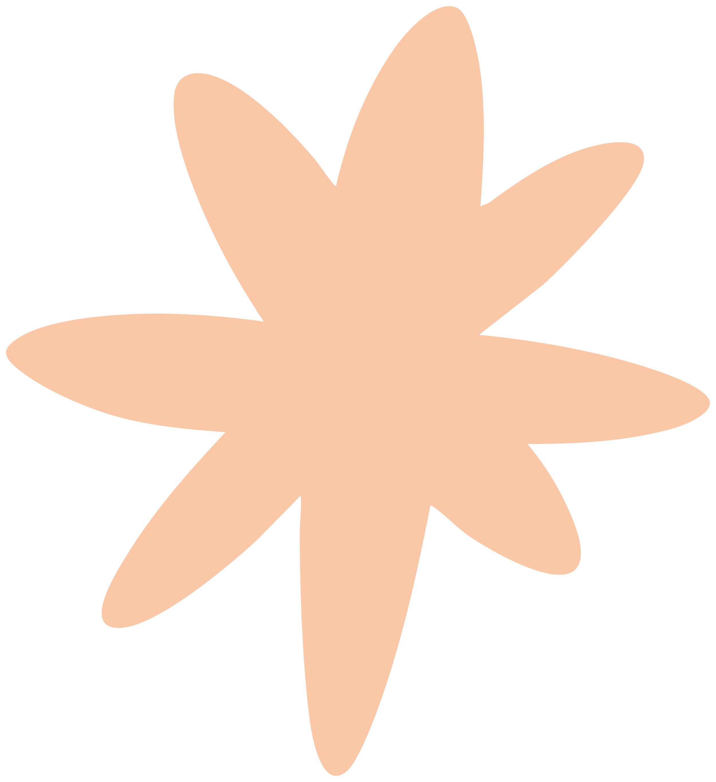 A stylized, peach-colored, multi-pointed star or flower shape on a black background.