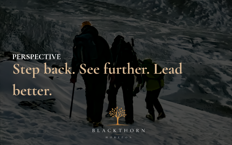Step back. See further. Lead better.