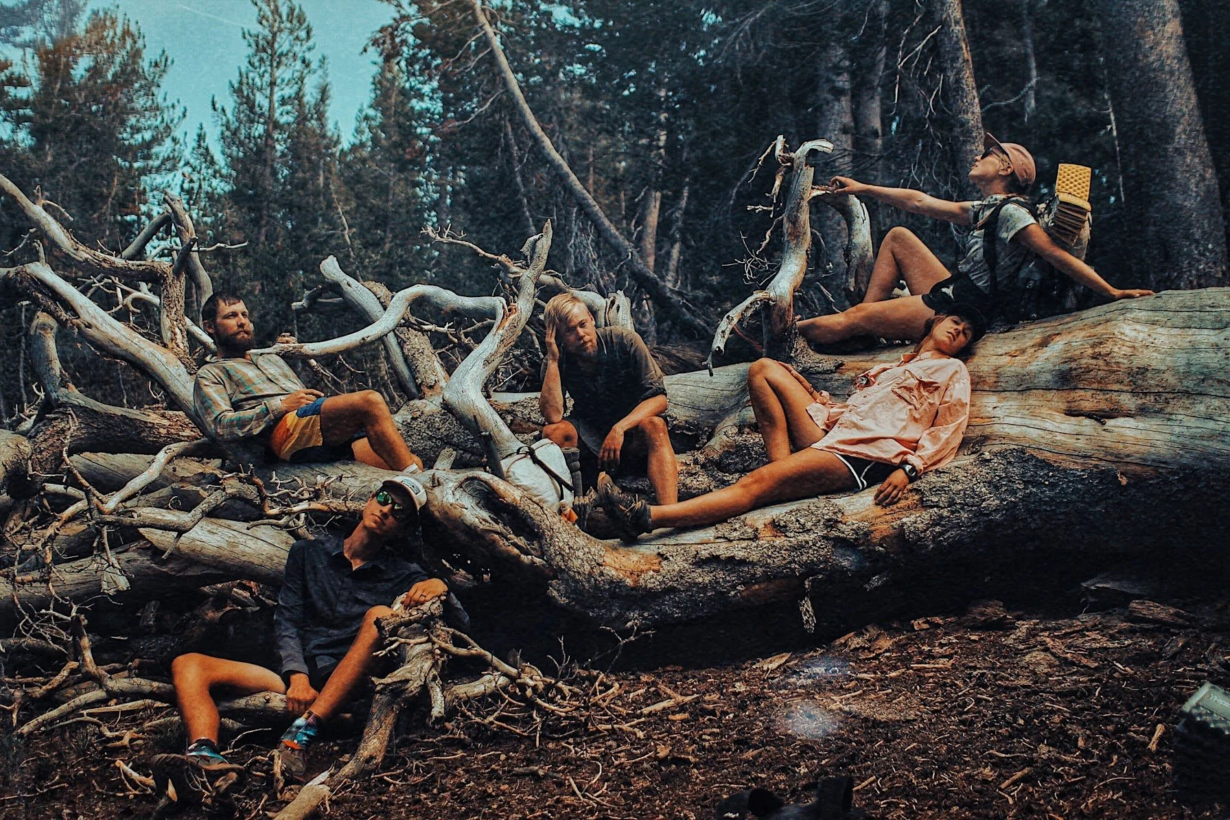 From Hiker Trash Vogue to Bloomline Collective: How My PCT Photo Project Changed the Way I Tell Stories