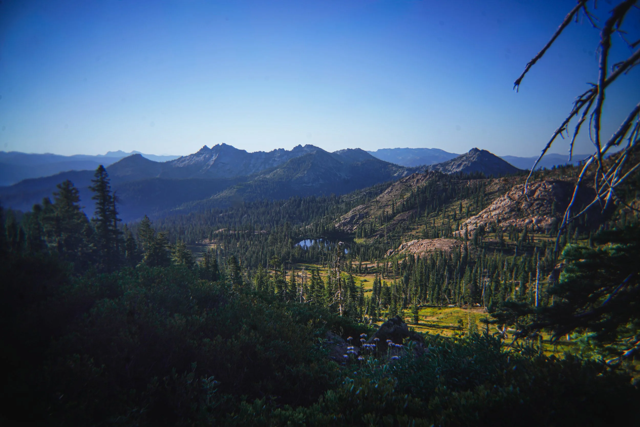 Finding Nostalgia and Waypoints on Section P of the Pacific Crest Trail with FarOut 