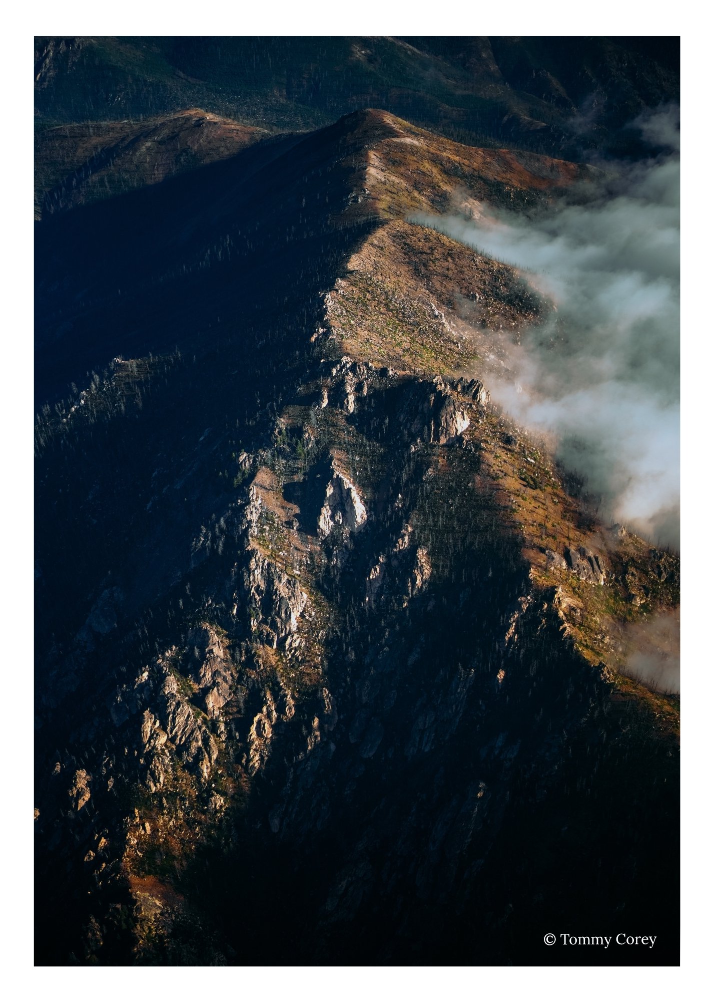 ©Tommy Corey (8).jpg