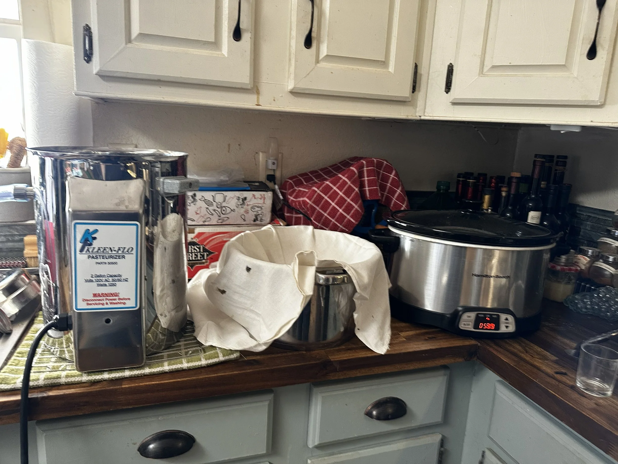 WSR Making Ricotta.jpeg