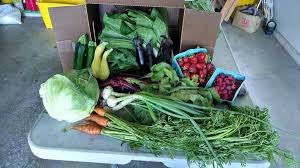 Farm Share Example 3.jpg