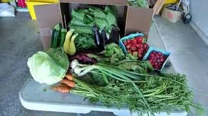 Farm Share Example 3.jpg